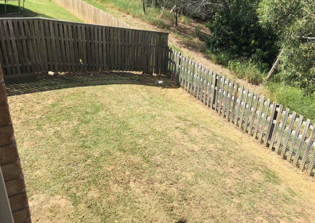 6. Back Yard.jpg