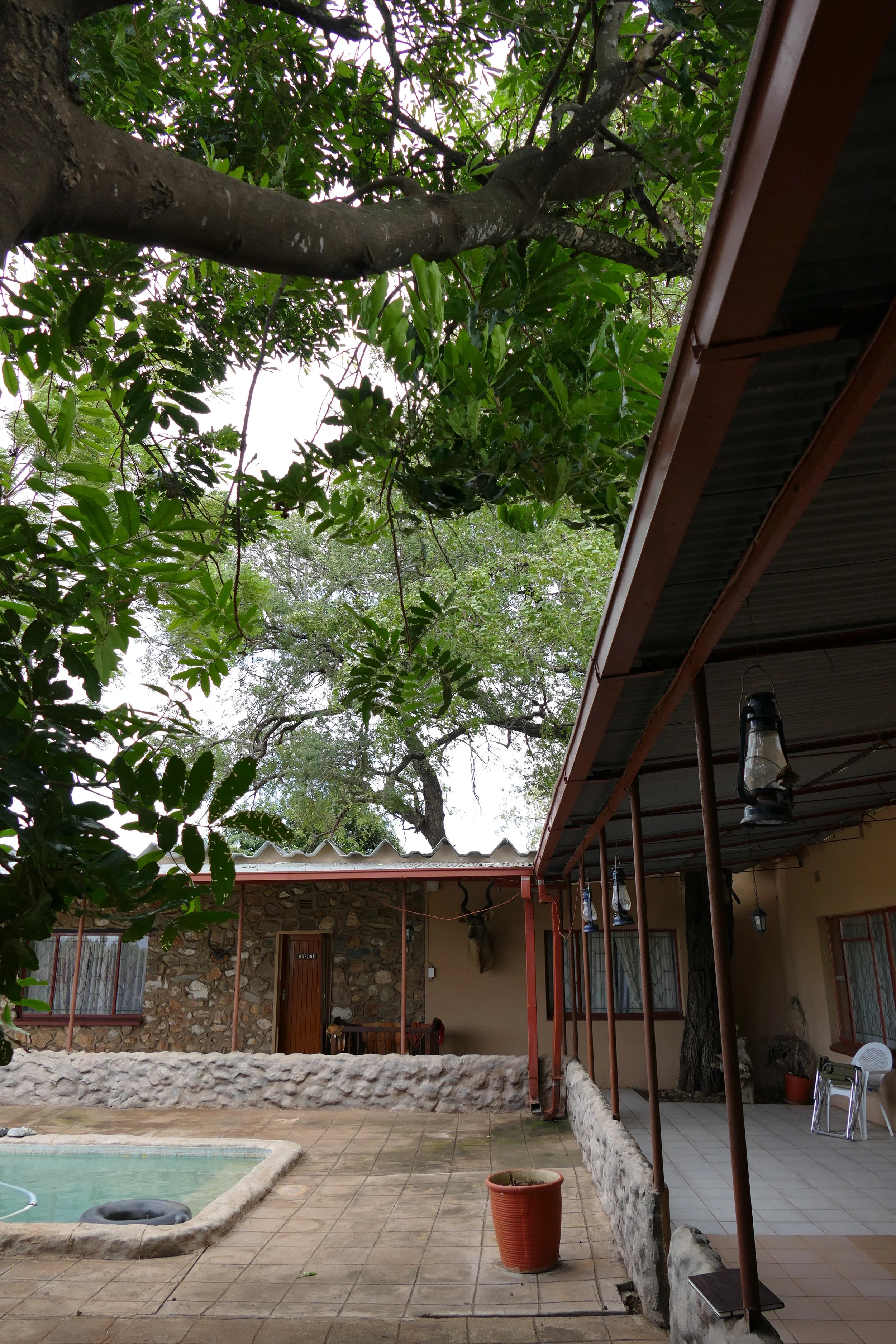 A big project started