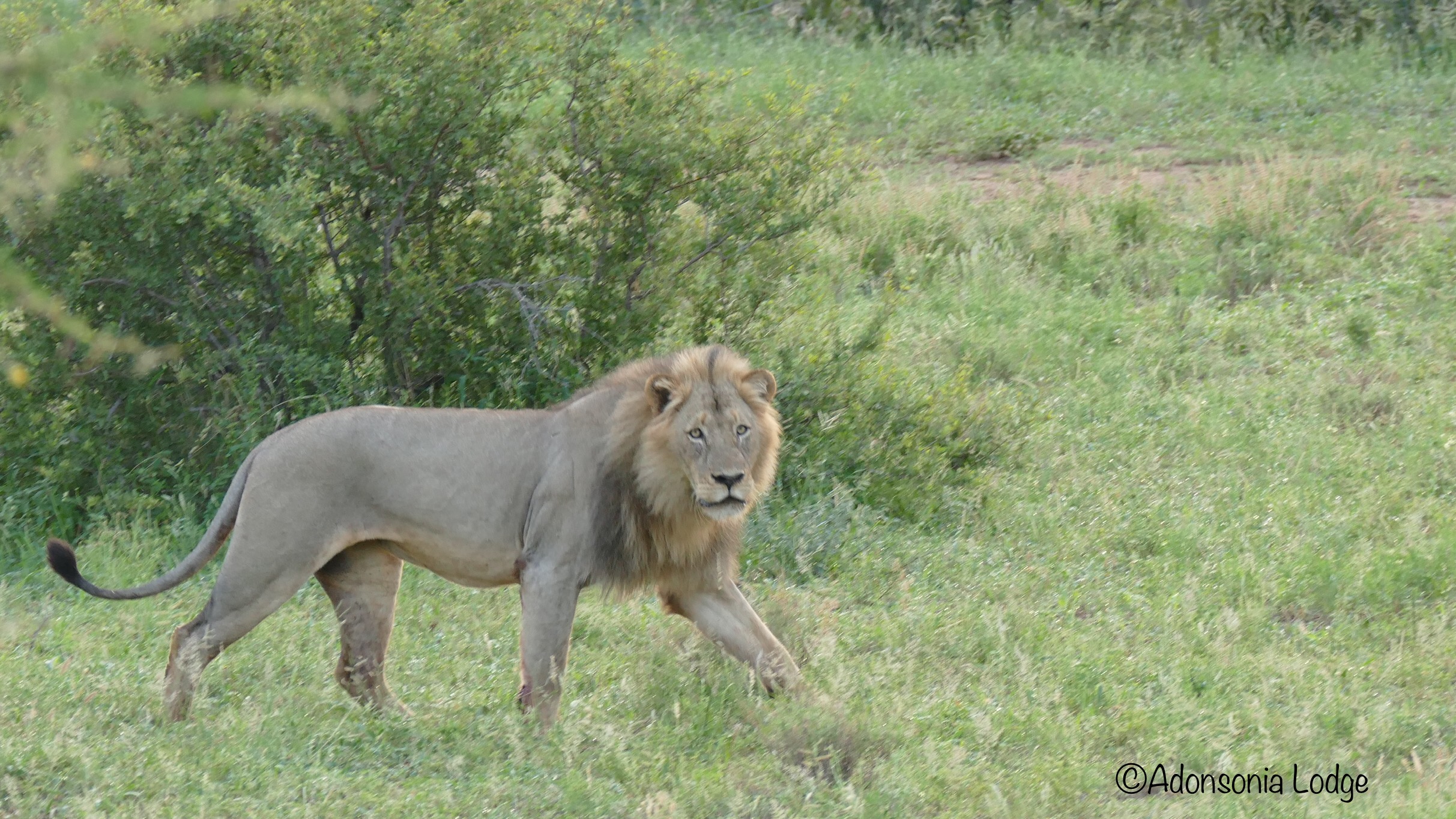 Some days you get stuff done, others not so much….