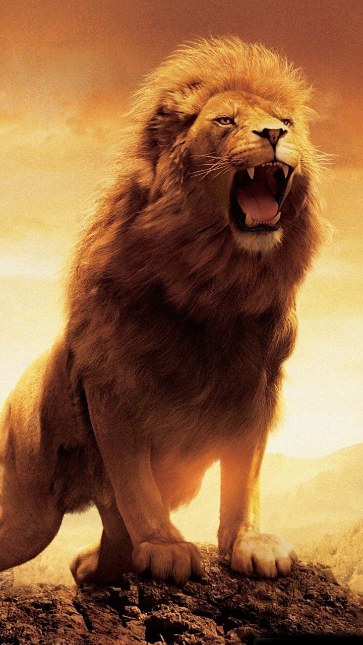 The Lion Roars