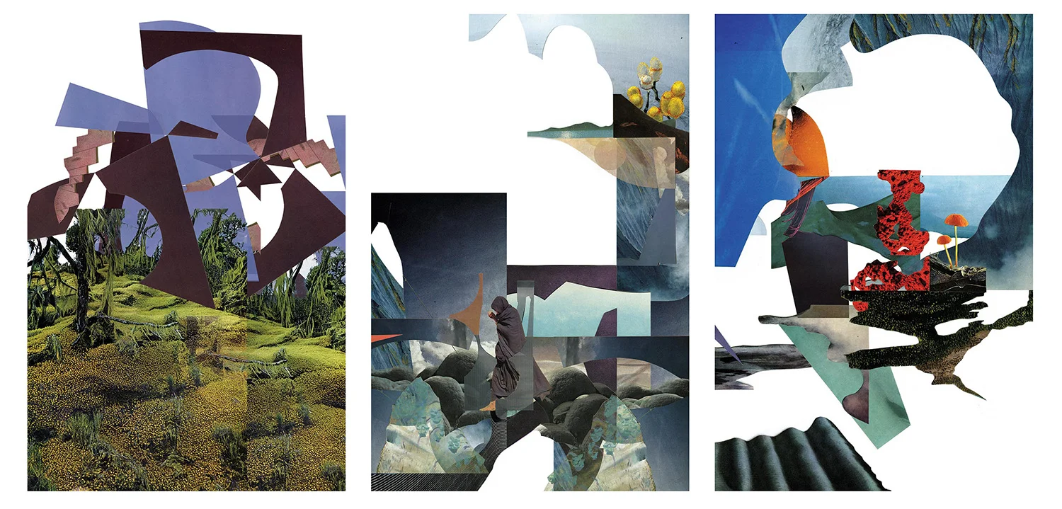 Stella Polaris Plates, 2016_ analogue collage printed on acrylic glas, each 150x100 cm