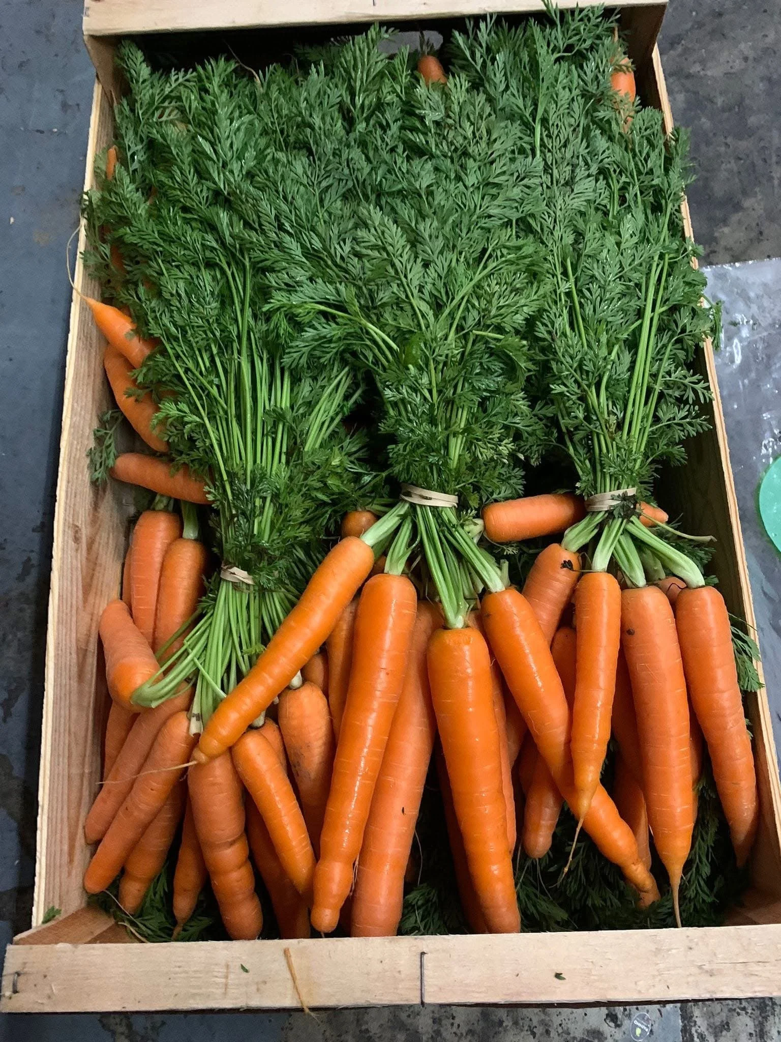 Bagged Washed Carrots