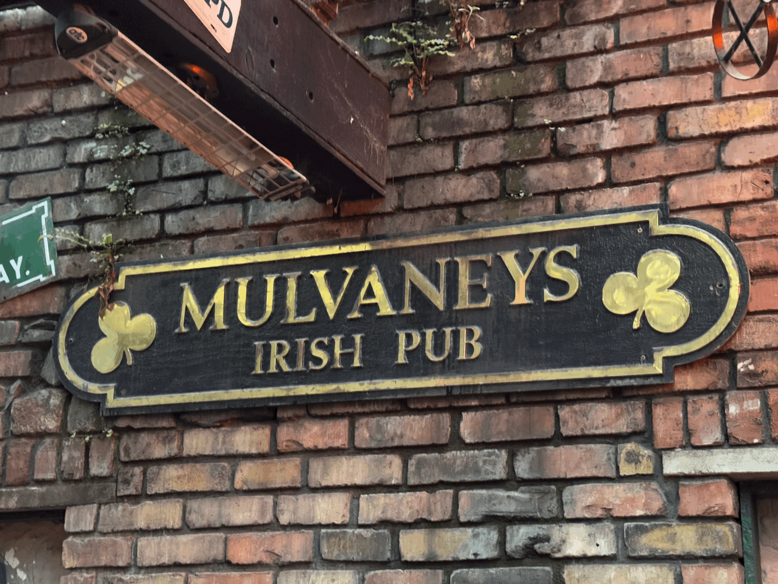 From Orlando ’94 to Molloy’s: A Story That Followed the Pints Home