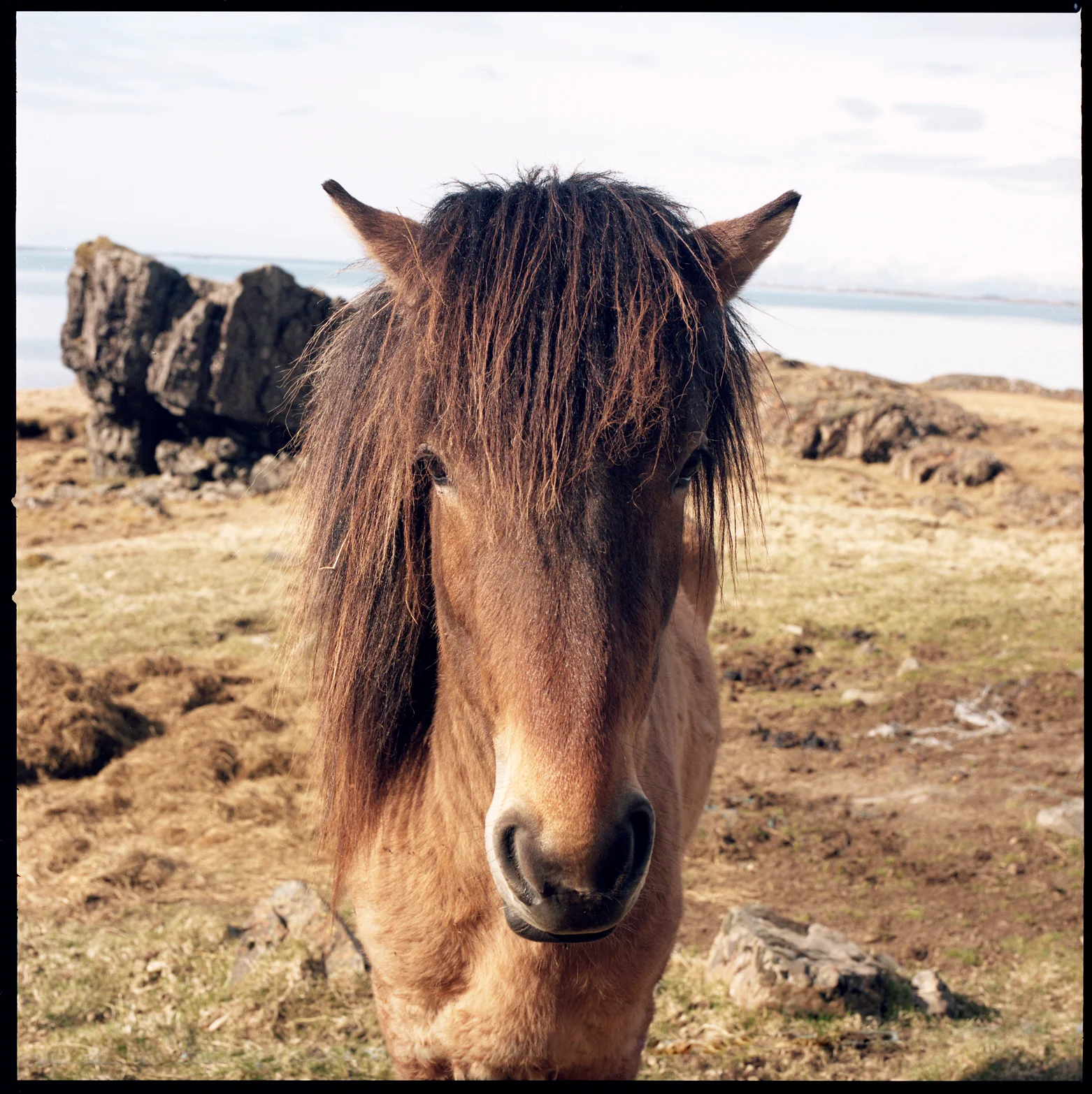 iceland114.jpg