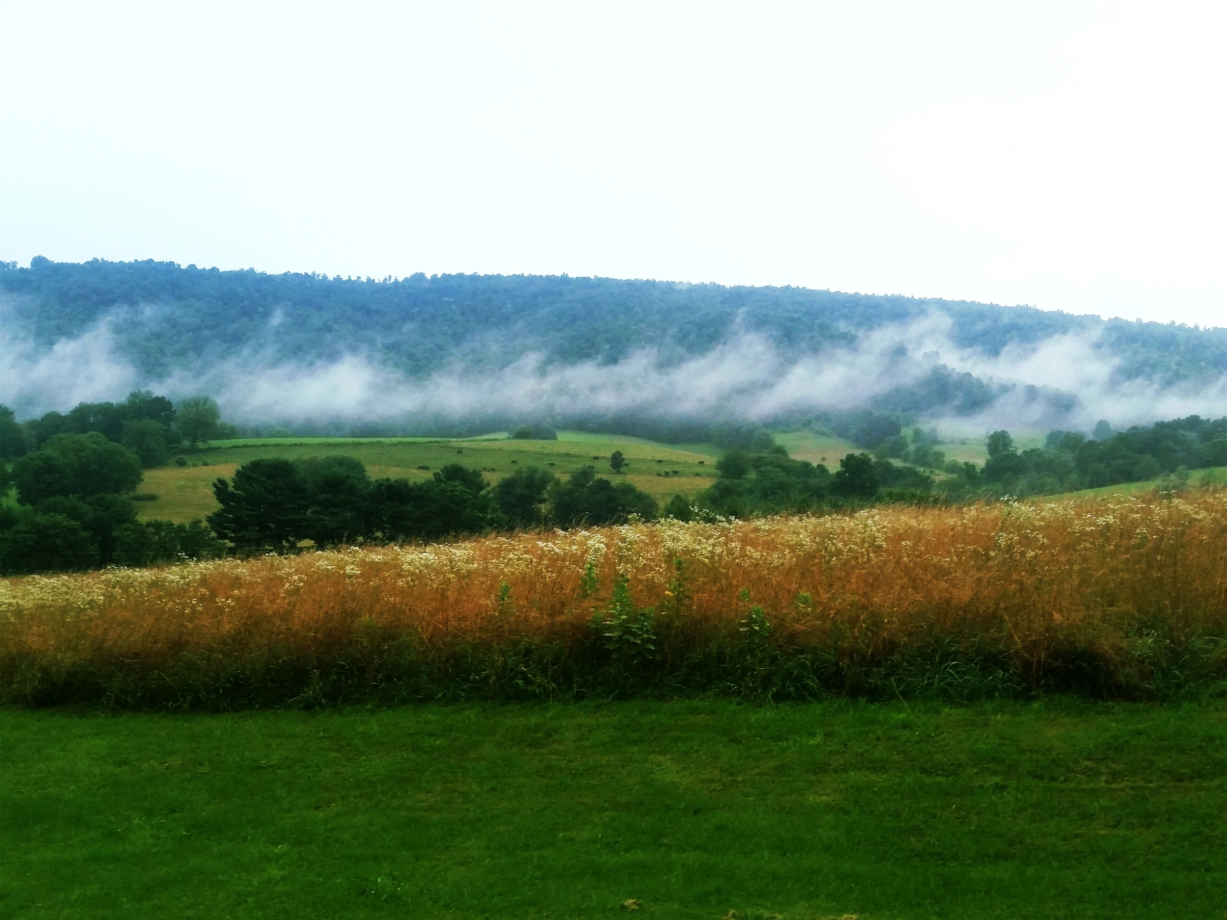 20150708_201208.jpg