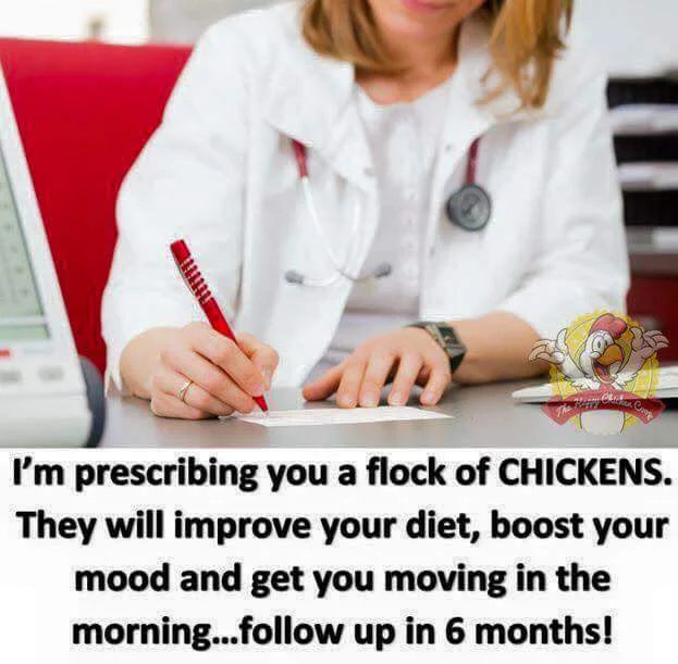 FB_IMG_1509335001223.jpg