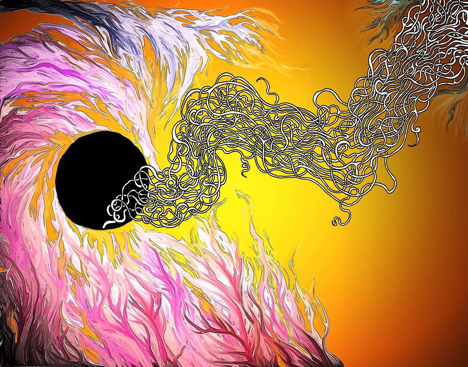 Black Hole Sun - 2008