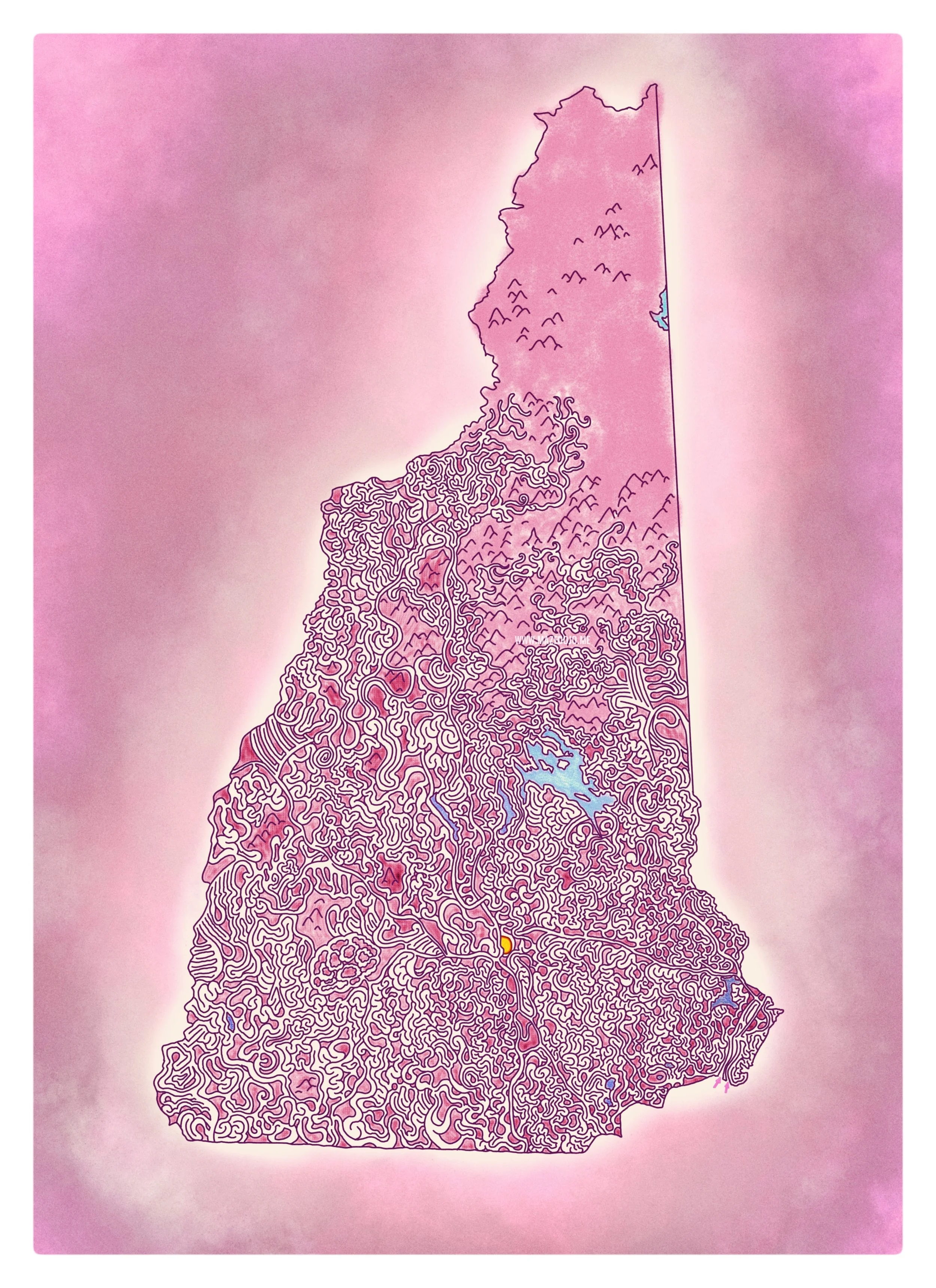 New Hampshire - 2018
