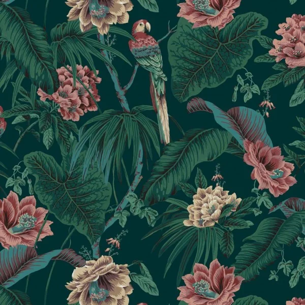 Paradisa. Image Source: House of Hackney