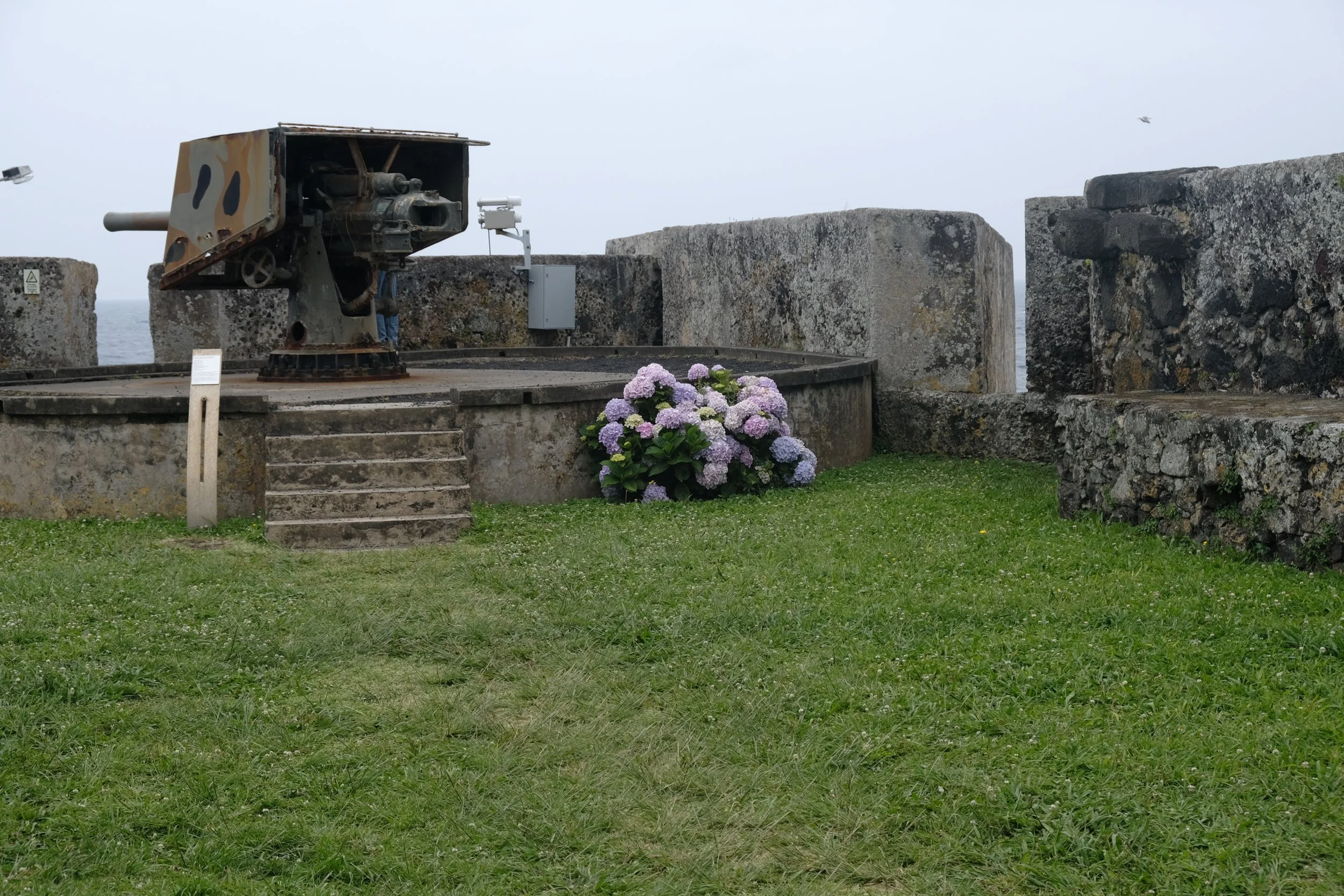 DSCF2882.JPG