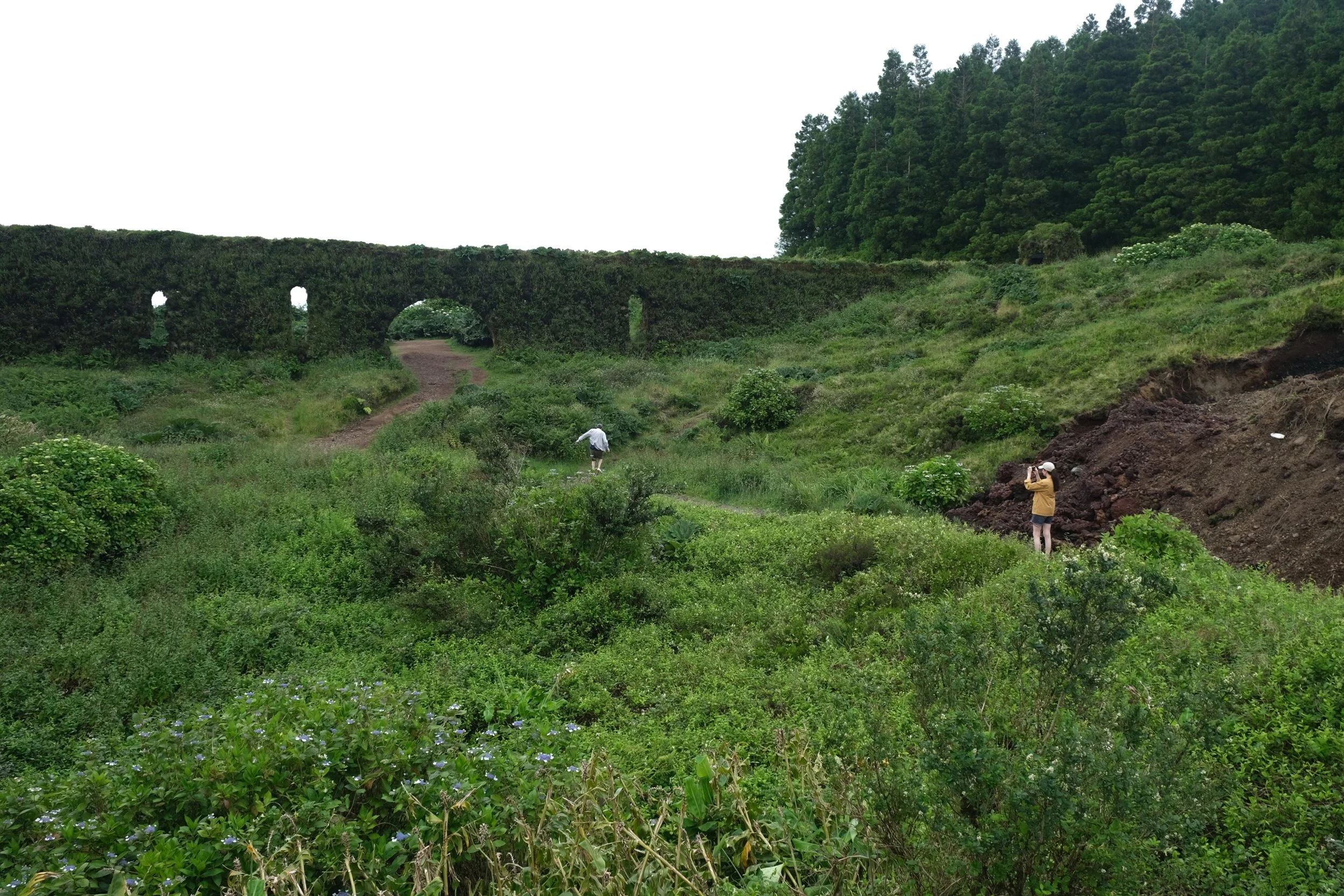 DSCF3050.JPG