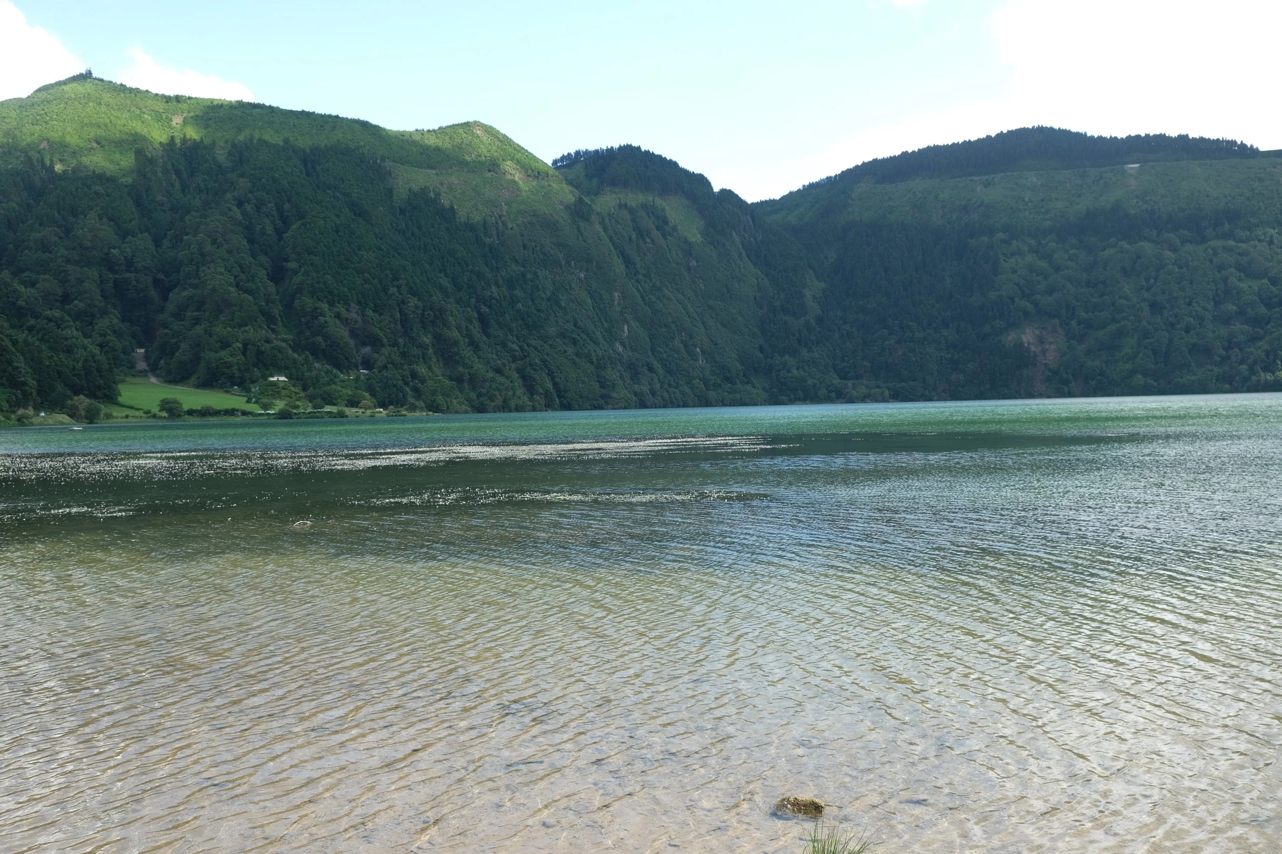 DSCF3139.JPG