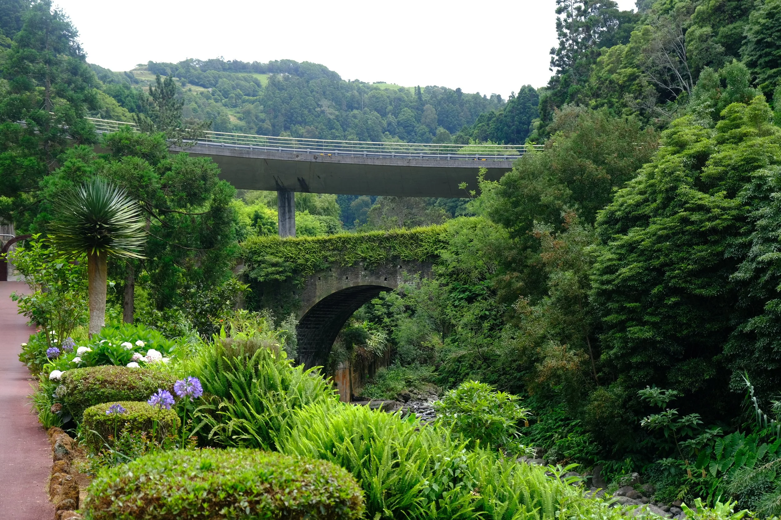 DSCF3477.JPG