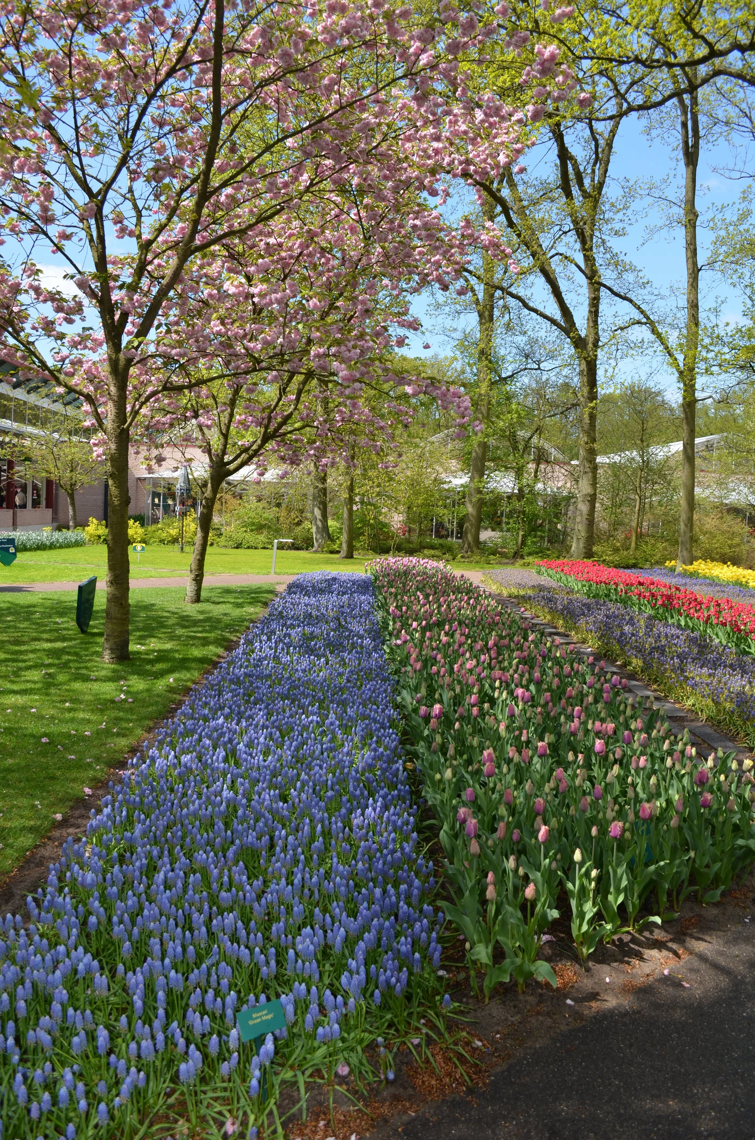 DSC_2361.JPG