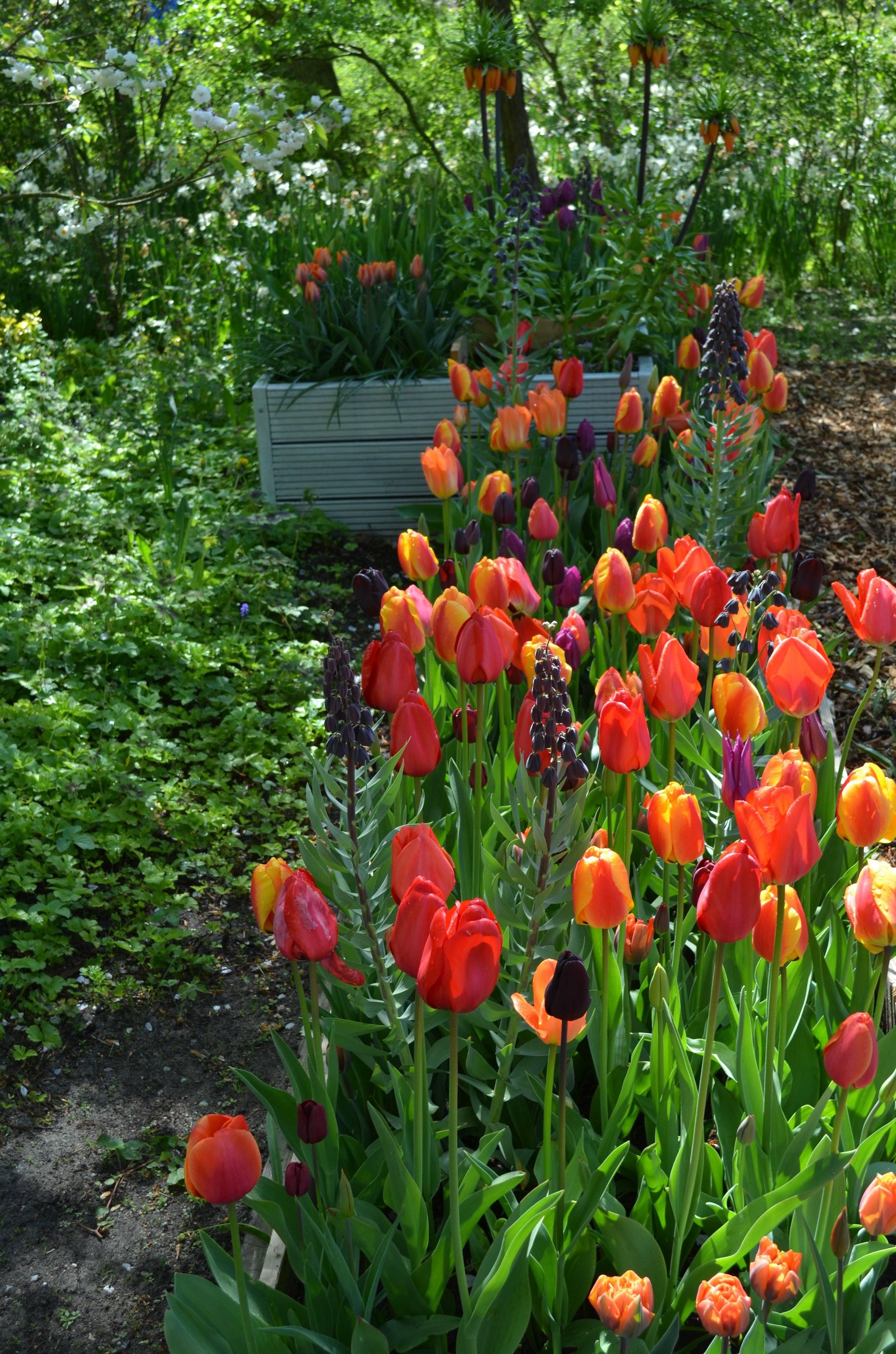 DSC_2377.JPG
