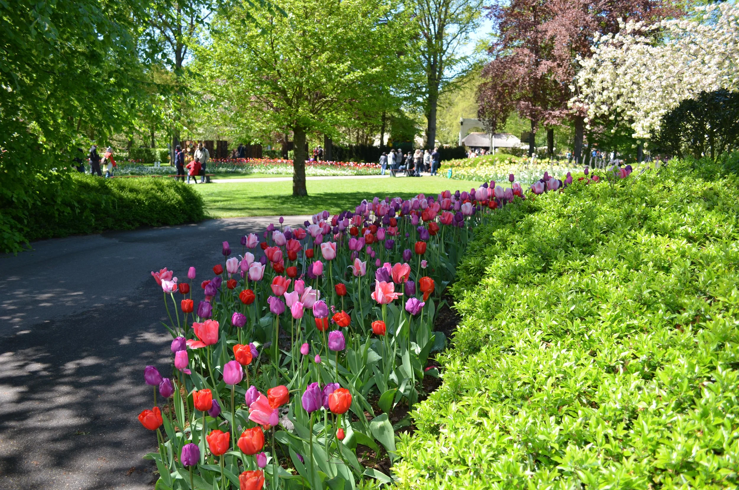 DSC_2407.JPG