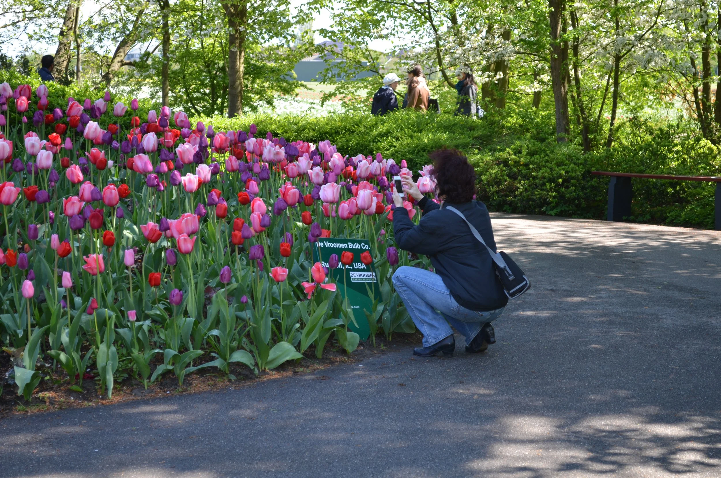 DSC_2409.JPG