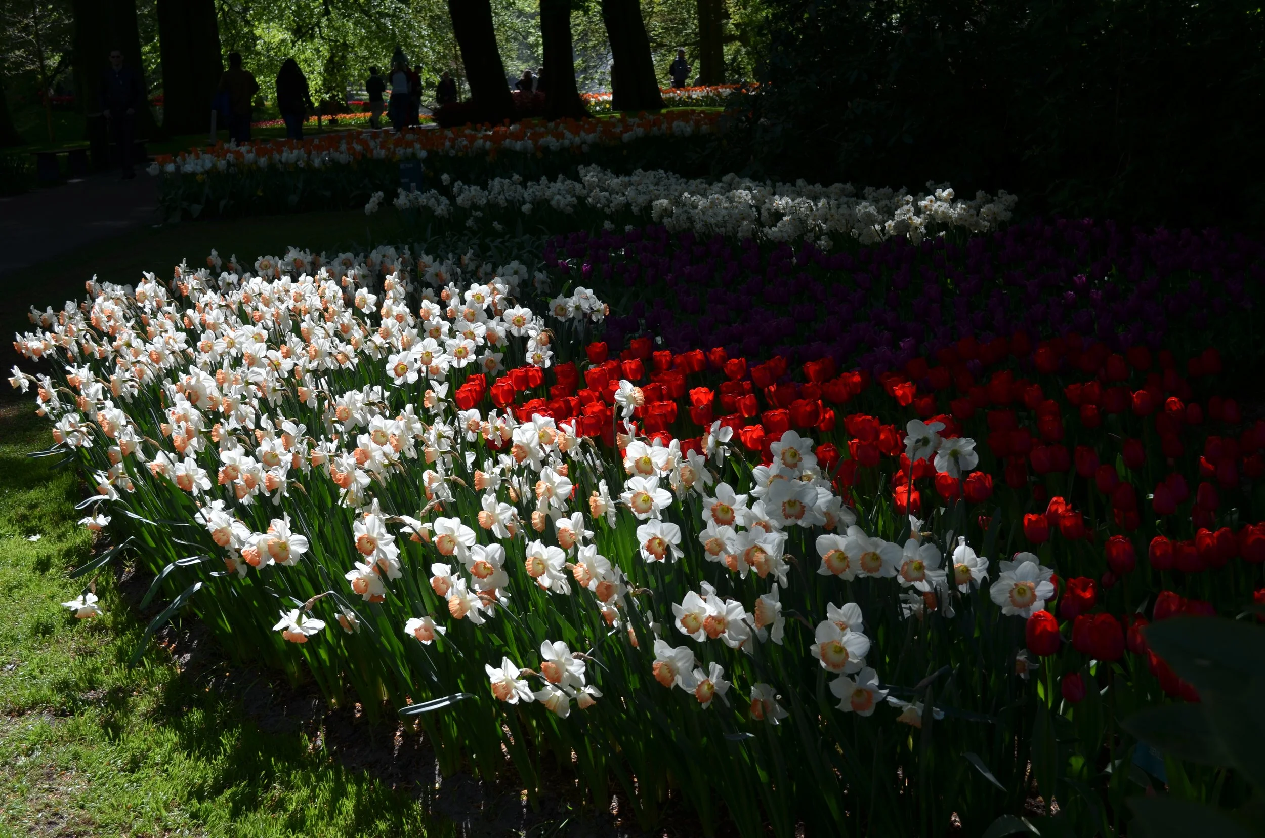 DSC_2478.JPG