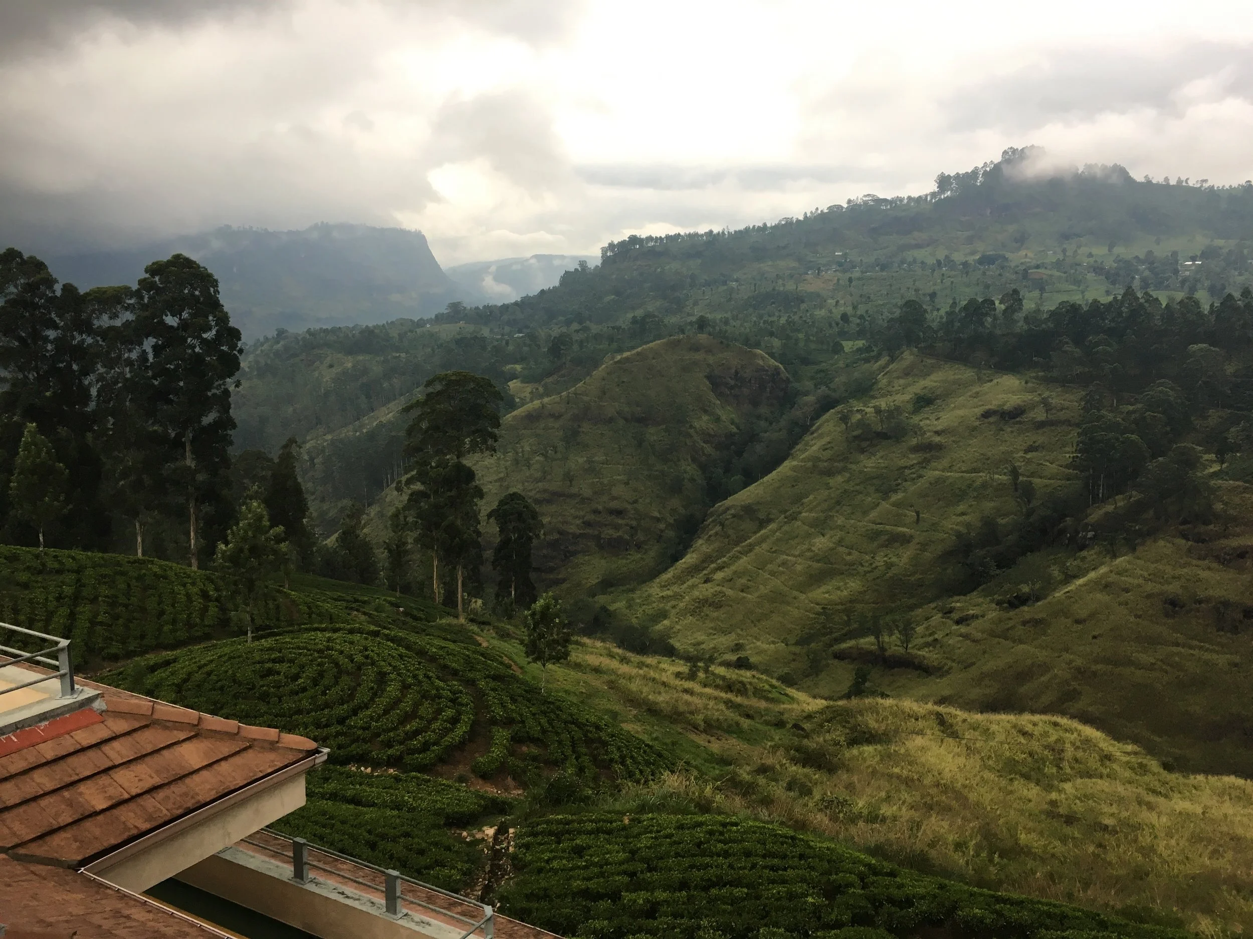 Sri Lanka's highlands - what a beauty