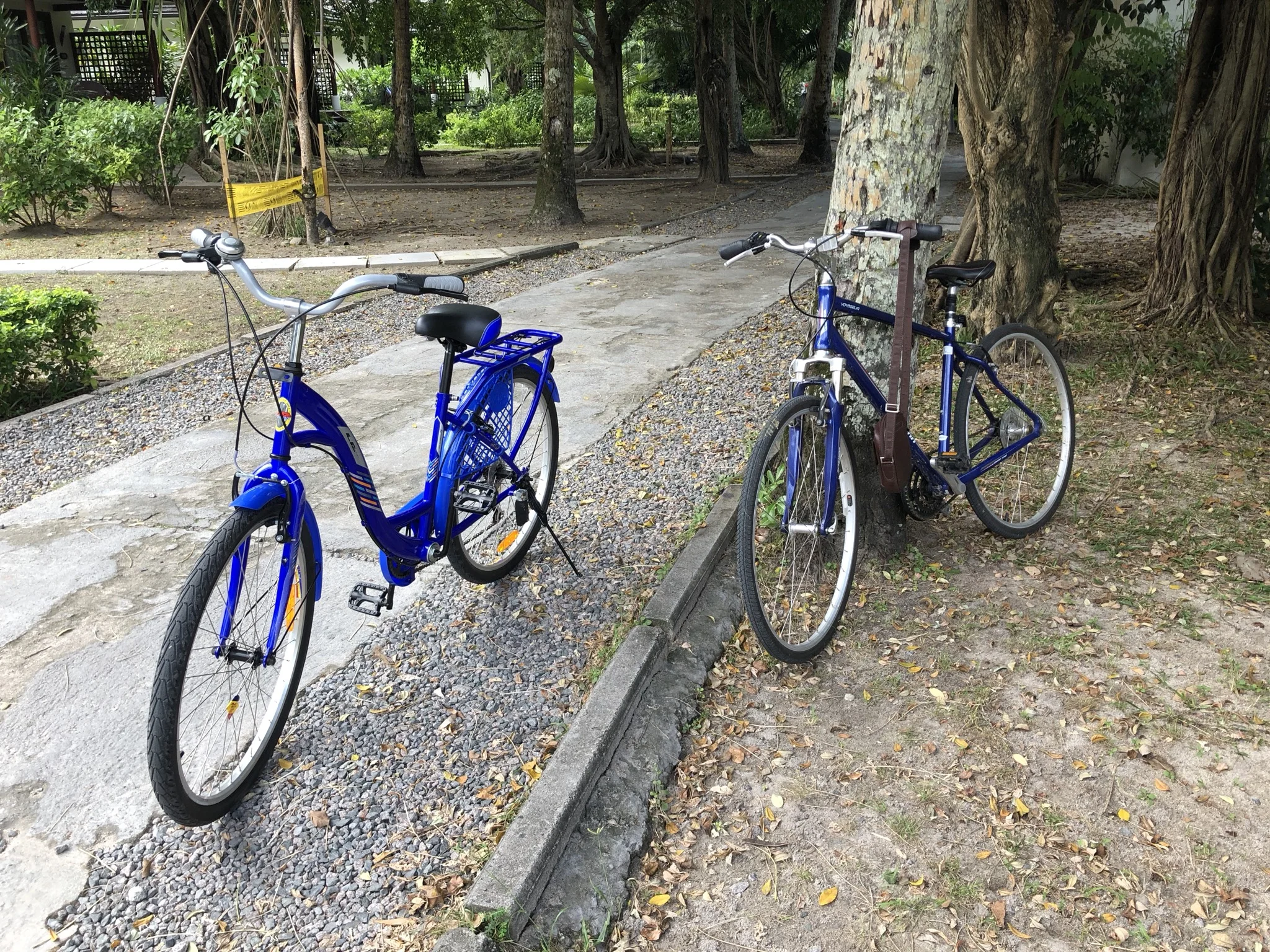 Condition of the bikes was passable