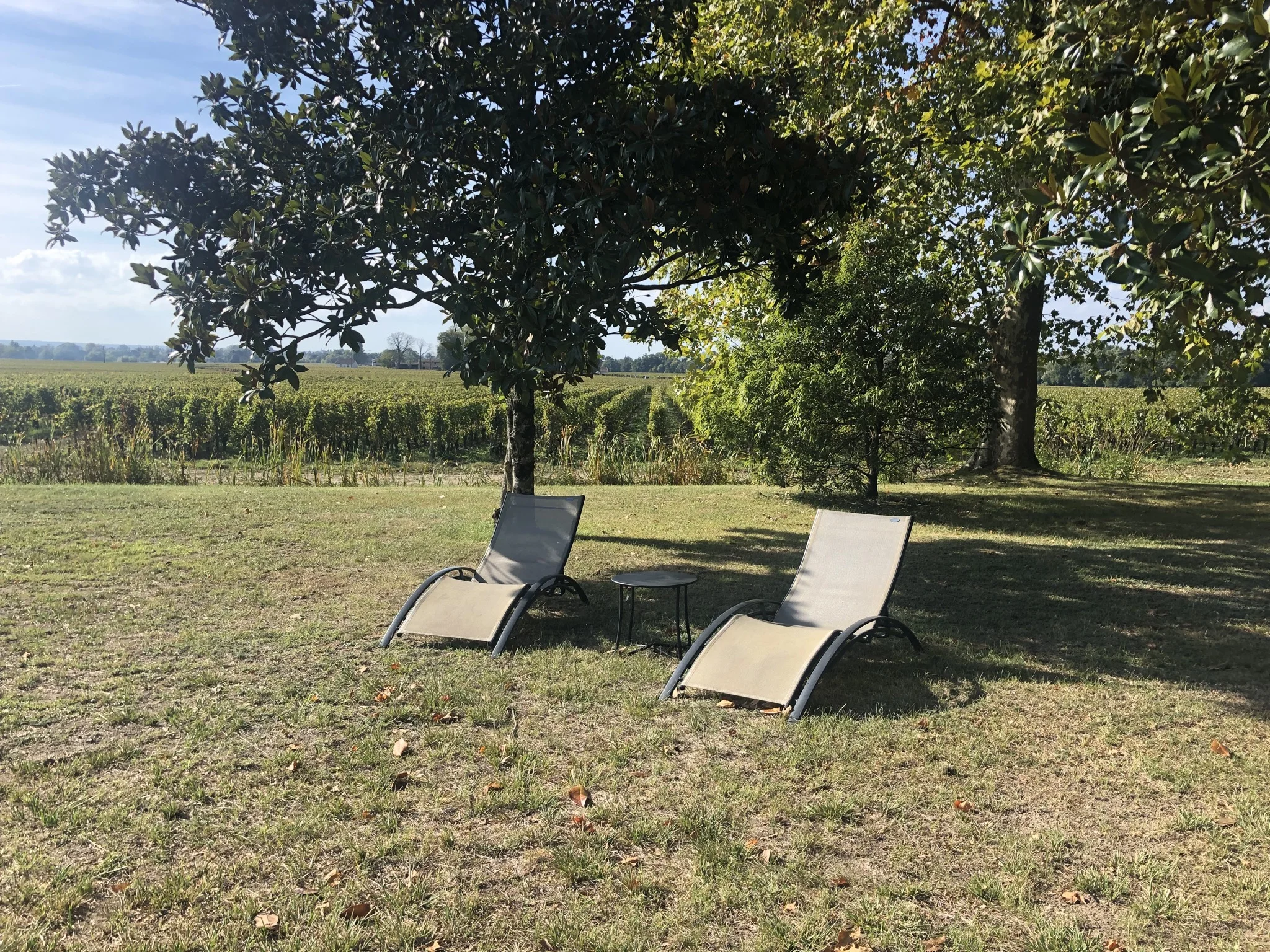 Deckchairs are scattered around the garden