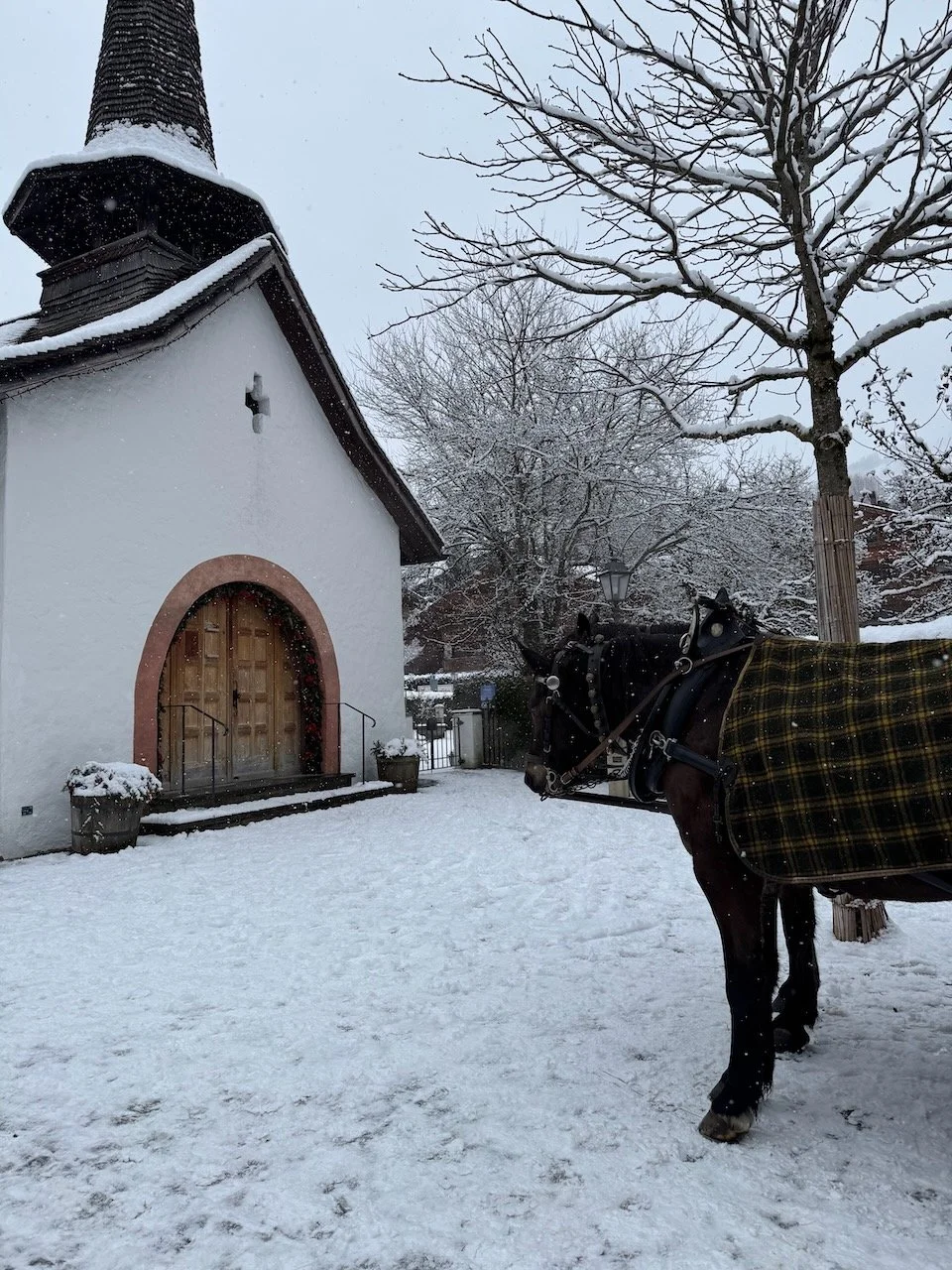 Gstaad - 56 von 60.jpeg