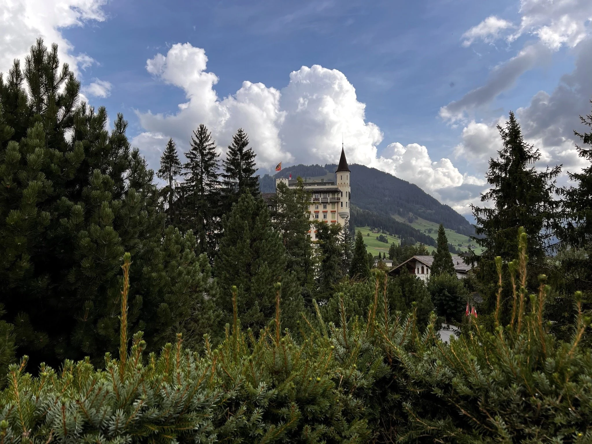 Review - Gstaad Palace