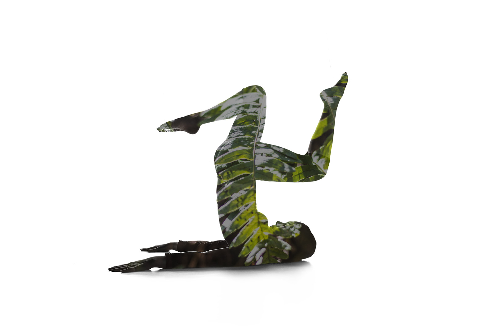 Williams_Portfolio_25.JPG
