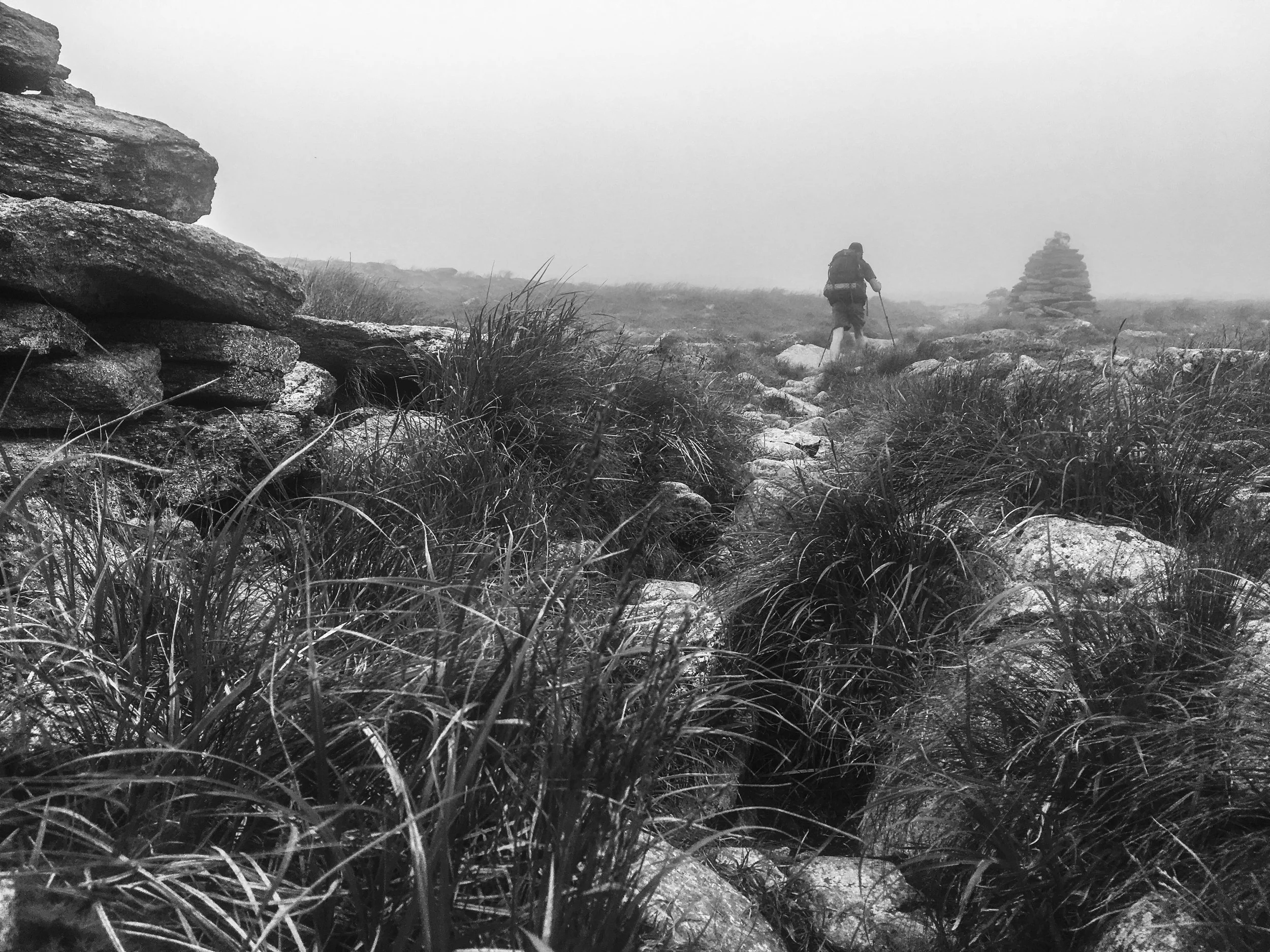 AT-68.jpg