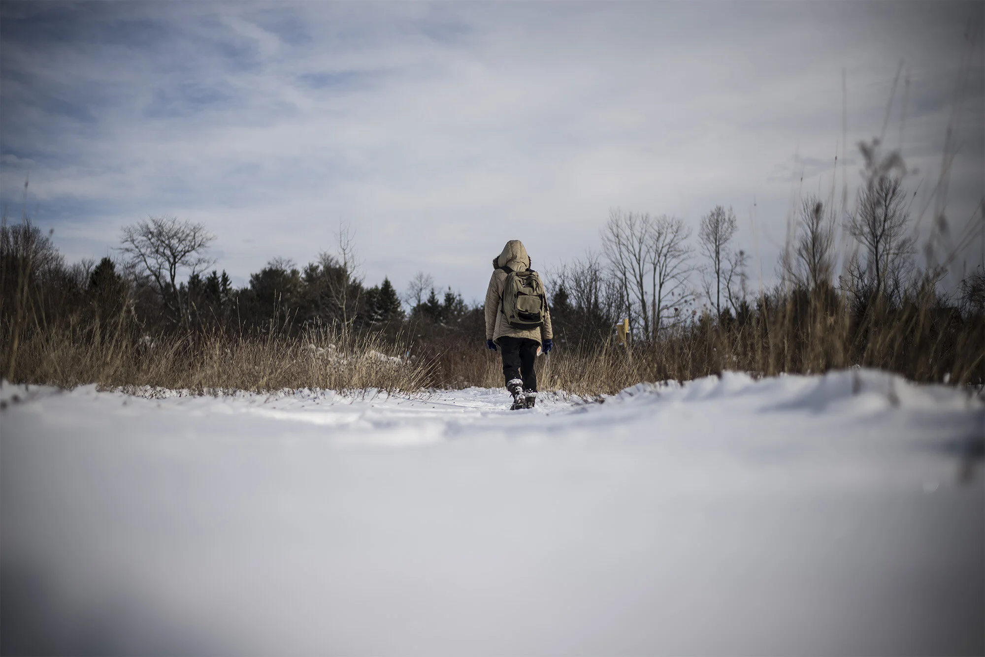Williams_snowshoe_w_5666.jpg