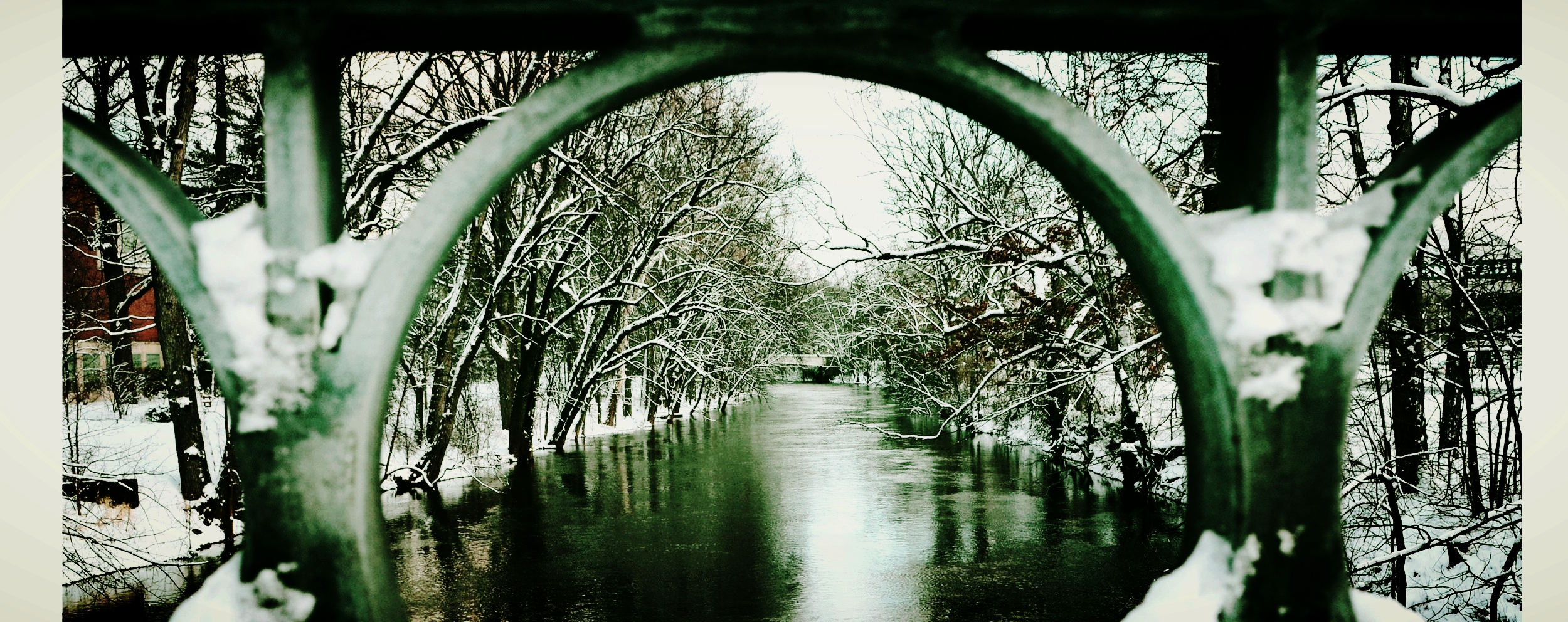 FilippKa-MSU-Forestry-Photo1.jpg