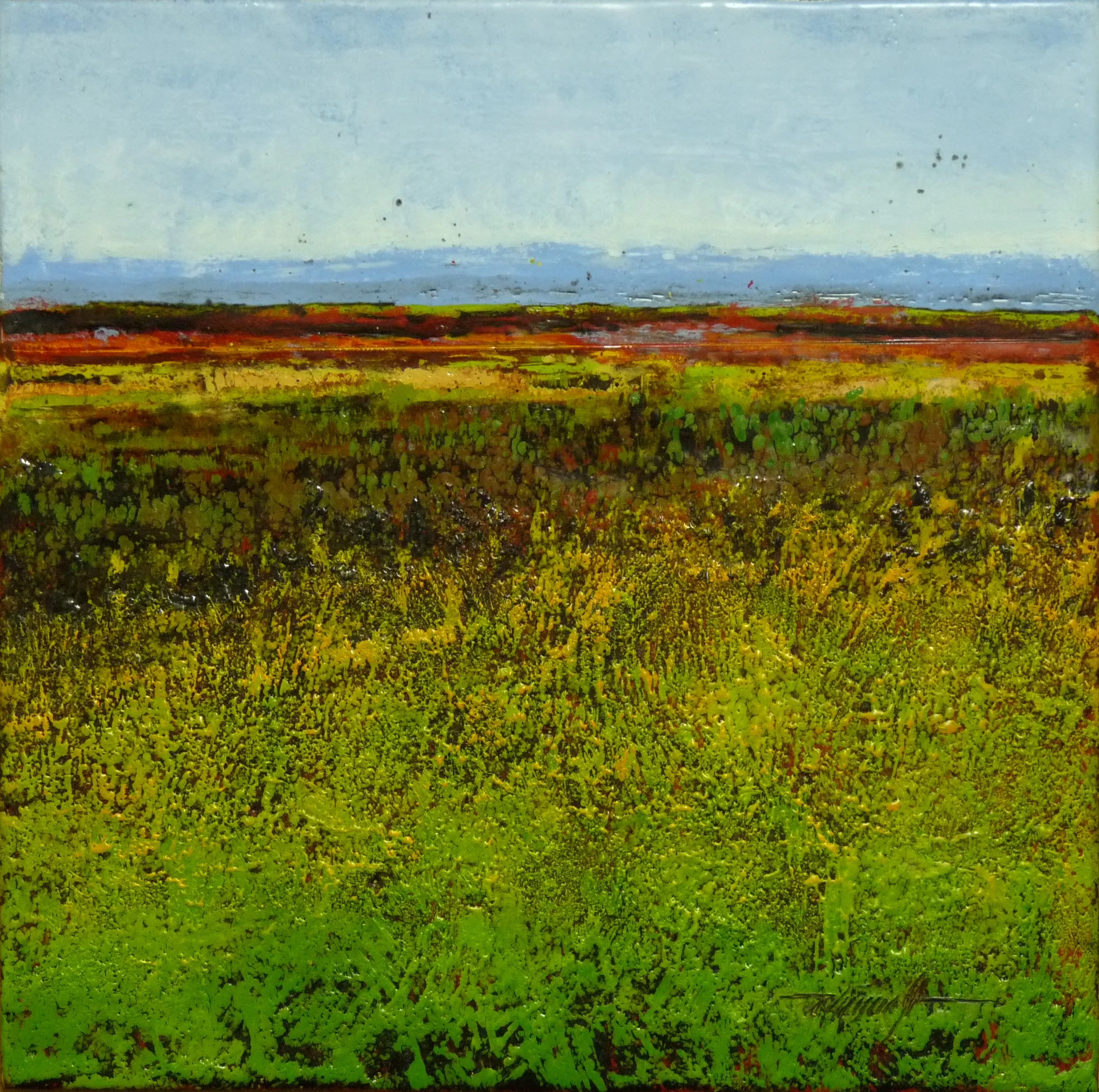 home with the armadillo.JPG