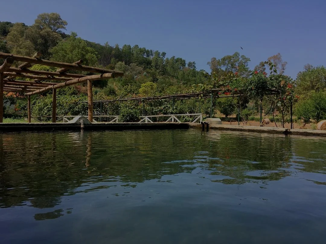 TANQUE+TERMAS+DE+MONFORTINHO.jpg
