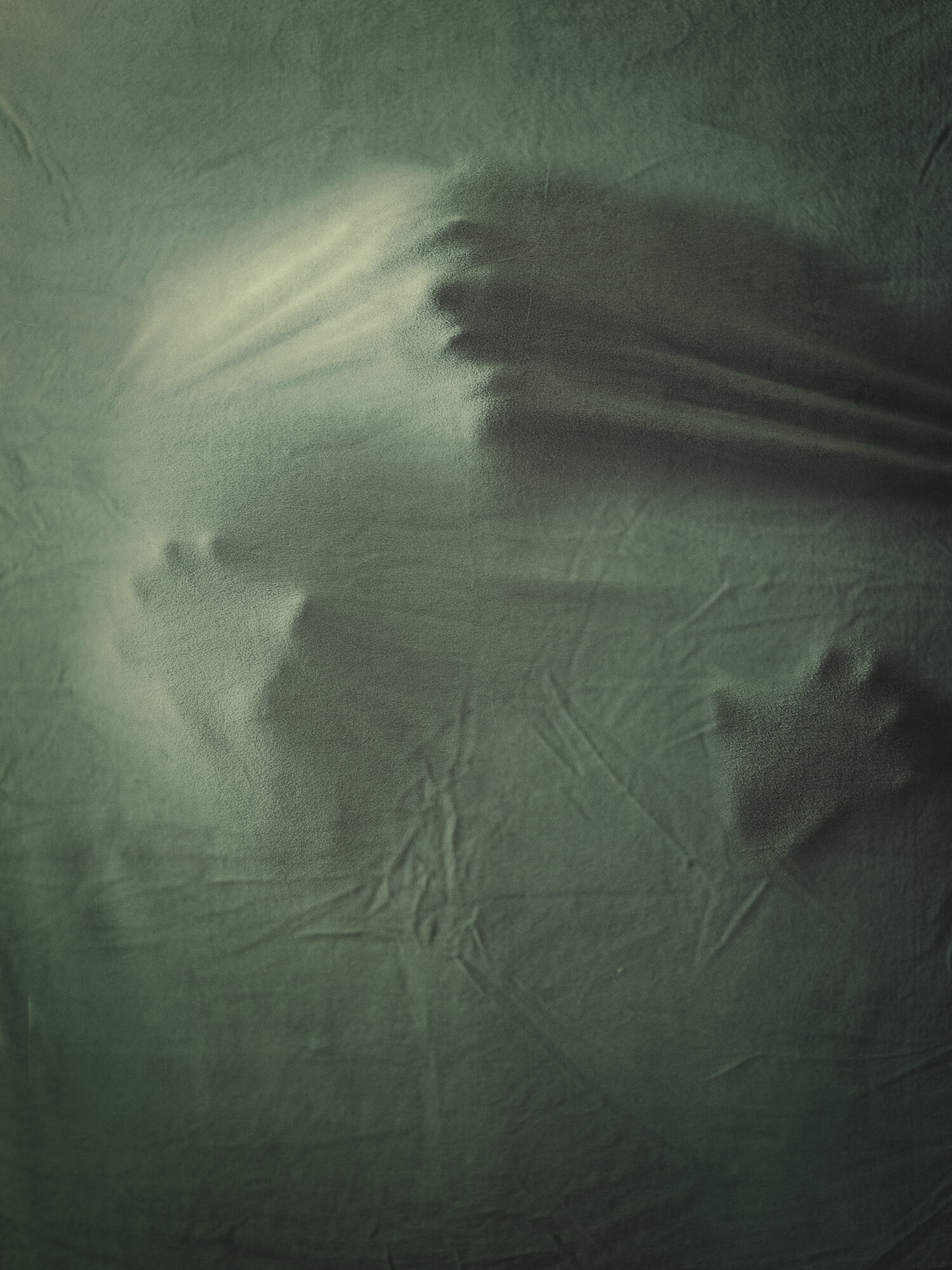 The Scream