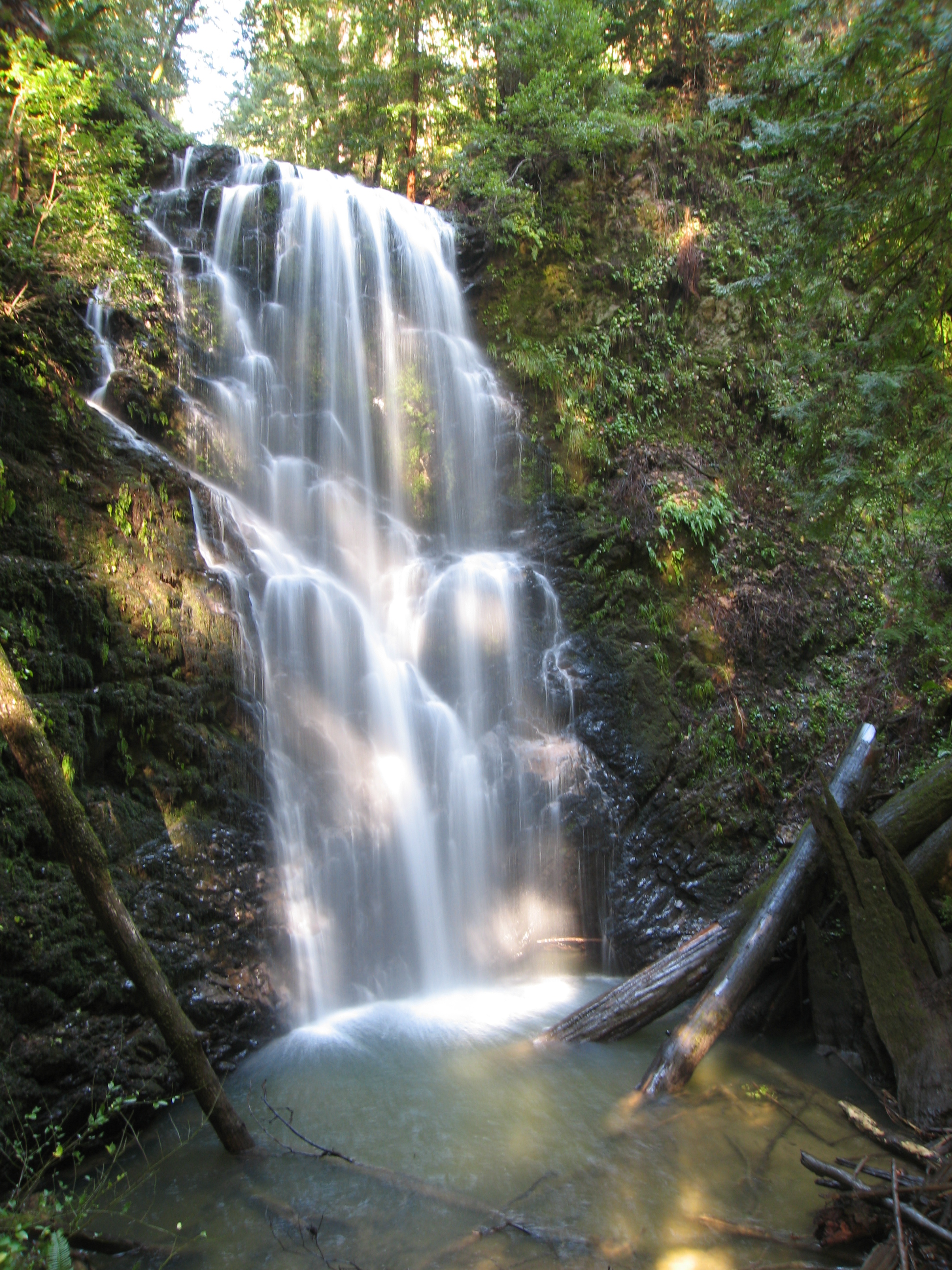 Berry Creek Falls