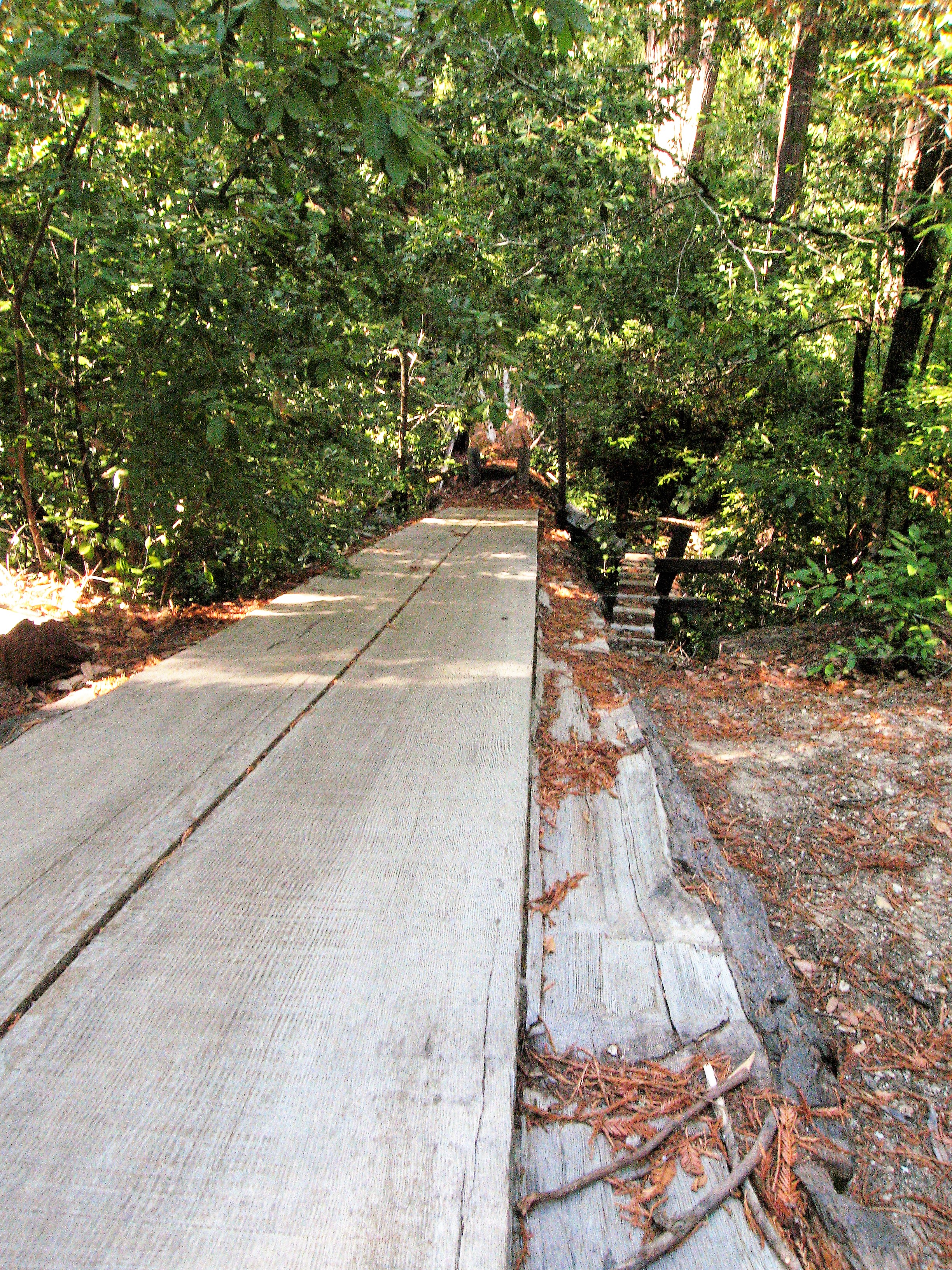 Douglas Fir fell across Gazos at 30-deg and was milled with an Alaskan Mill. Aged for 2 years in place. Beam were 40ft long x 9in high x 6in wide