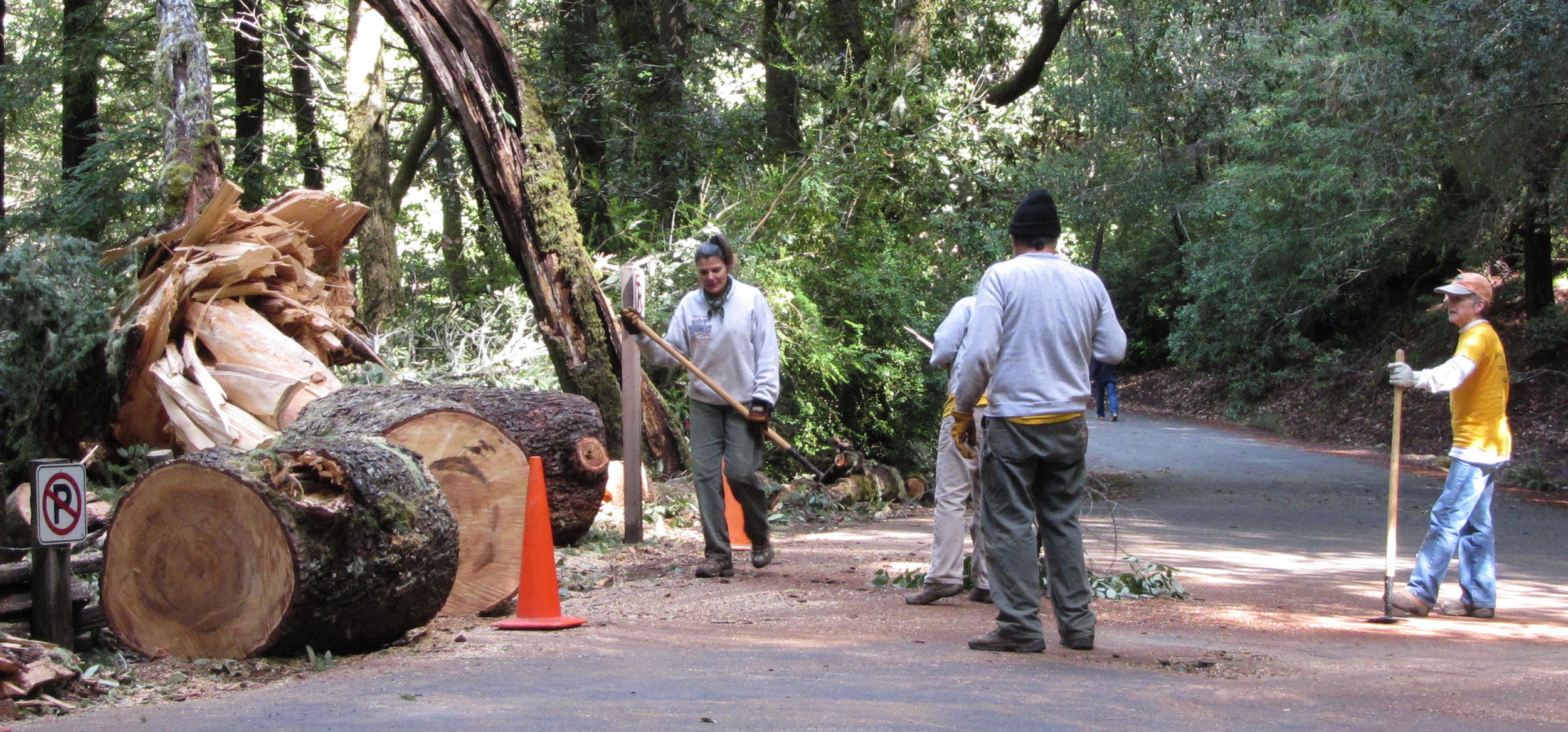 North Escape Road Cleared