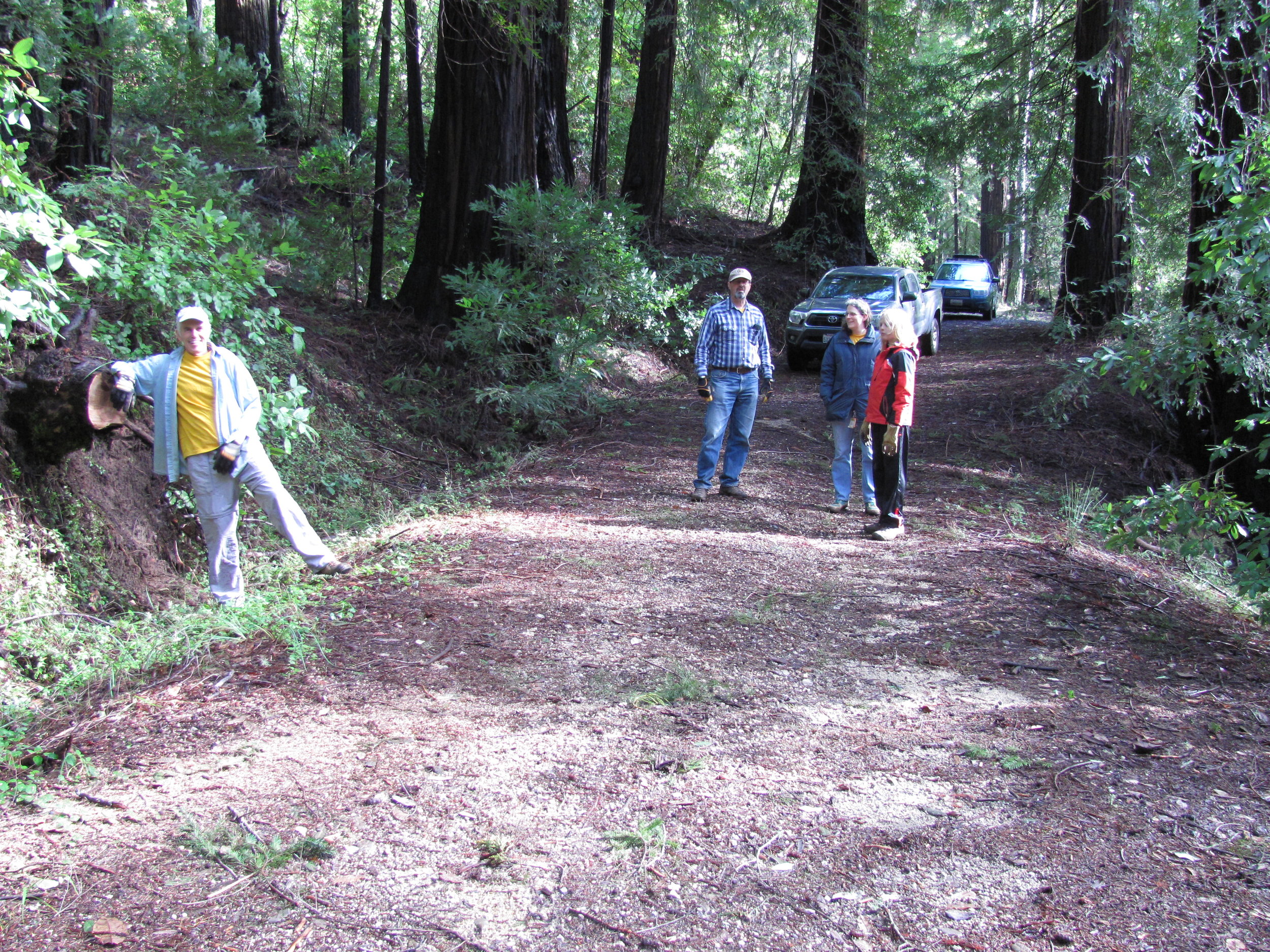 Madrone Cleared