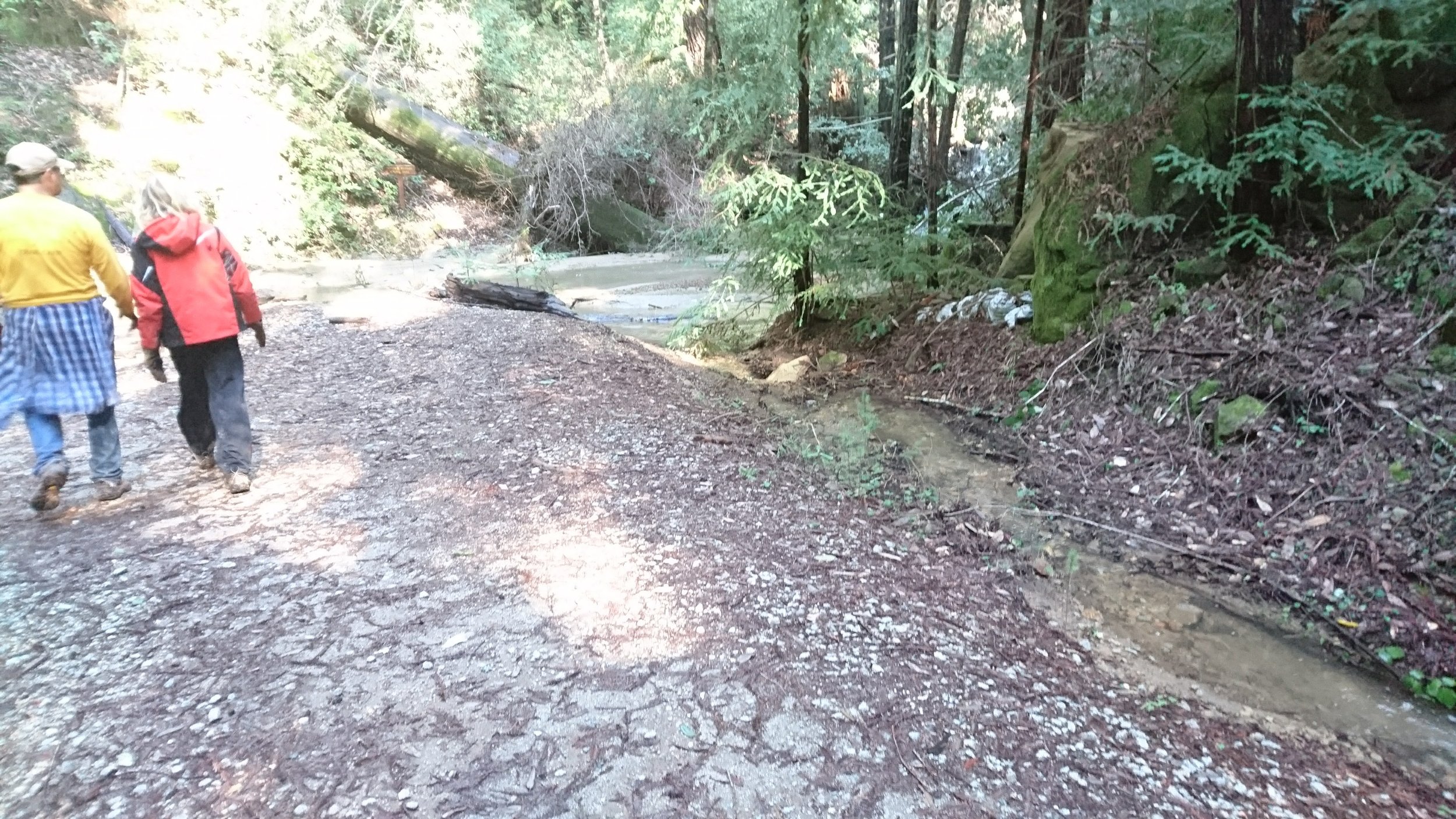 DSC_1645.jpg