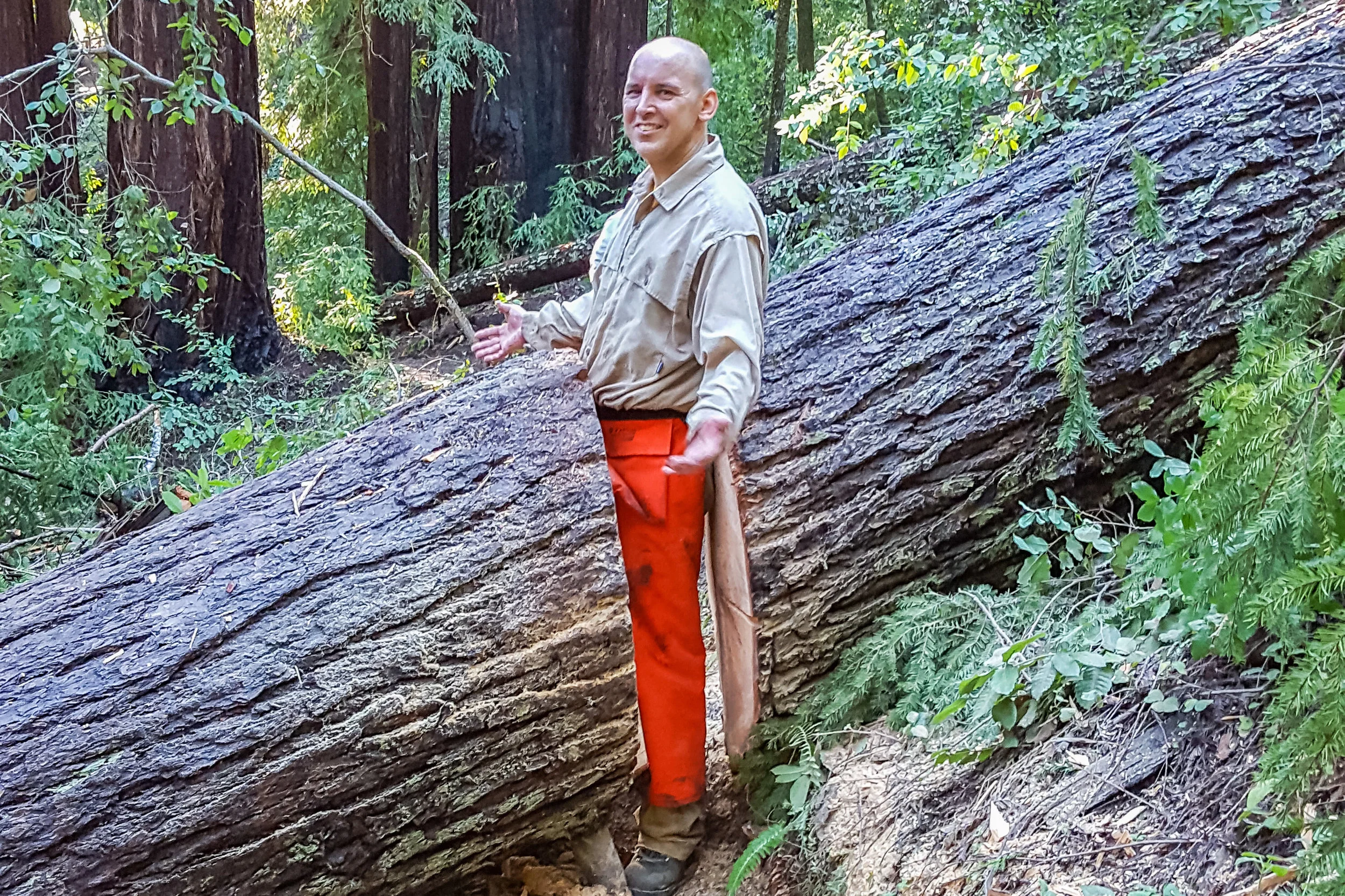 FEB 2017 - Gazos, STS, and Creeping Forest