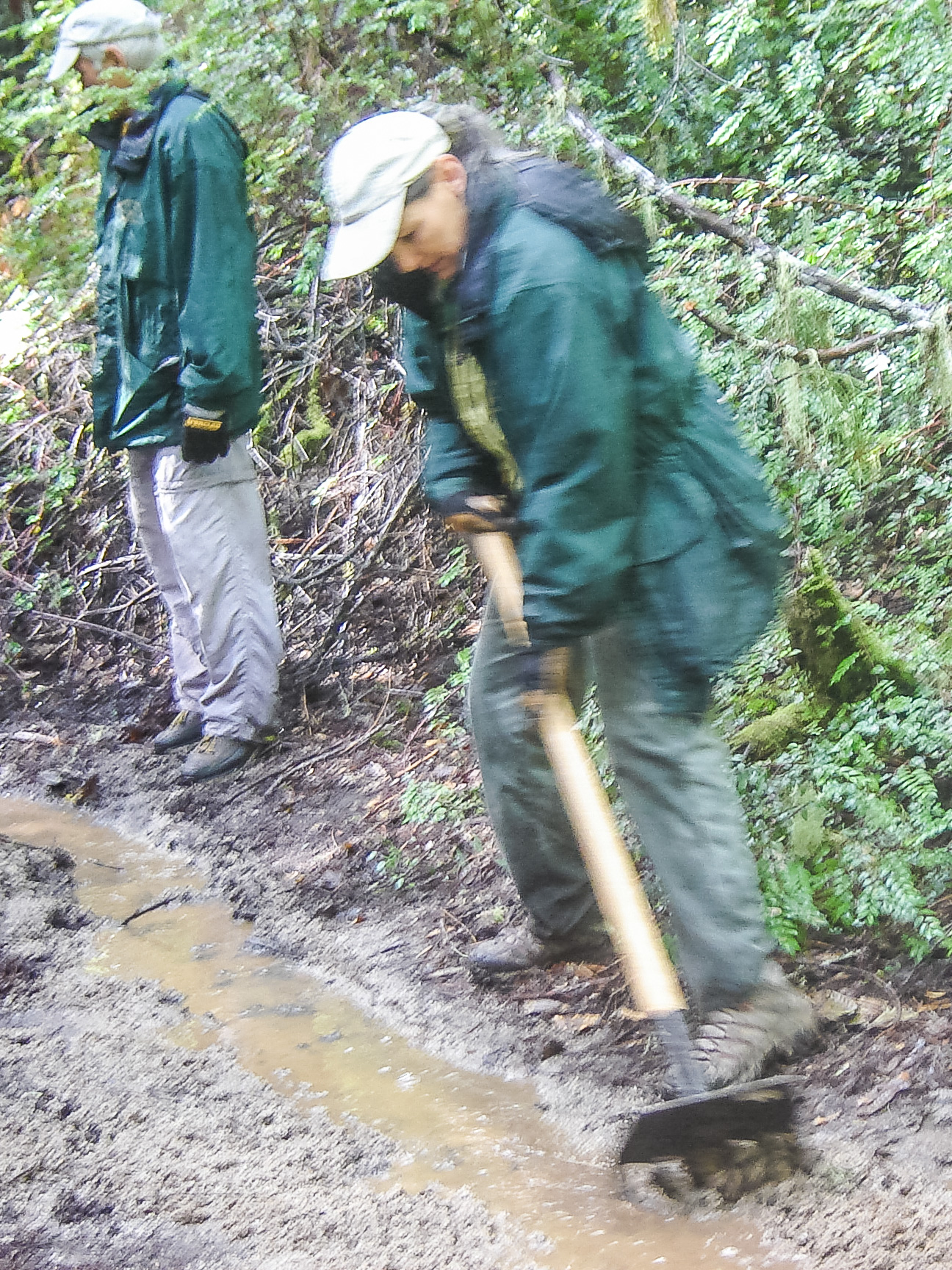 Drainage work on the Redwood Loop