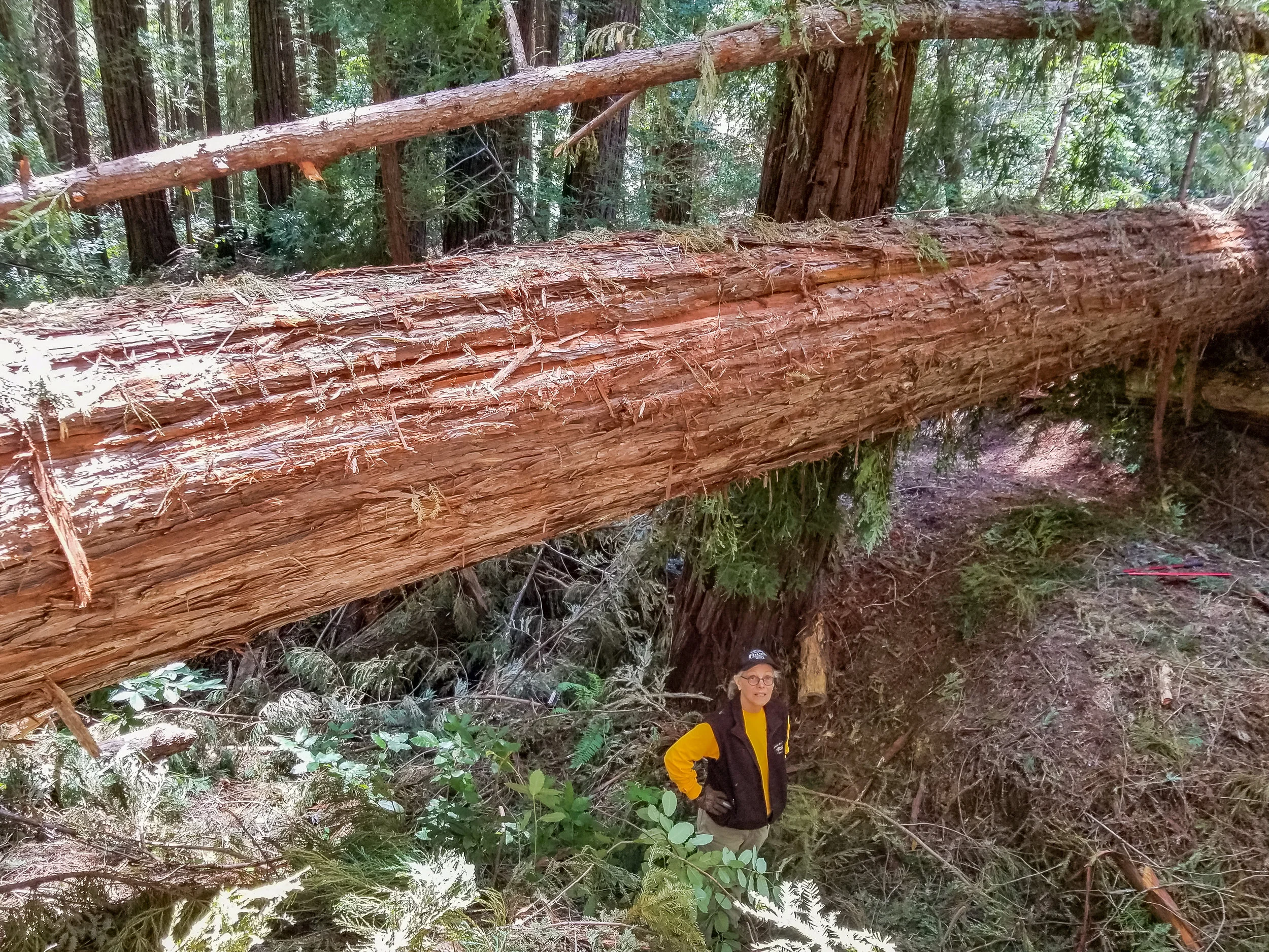 MAY 2017 - Waterman's Gap and Basin Trail