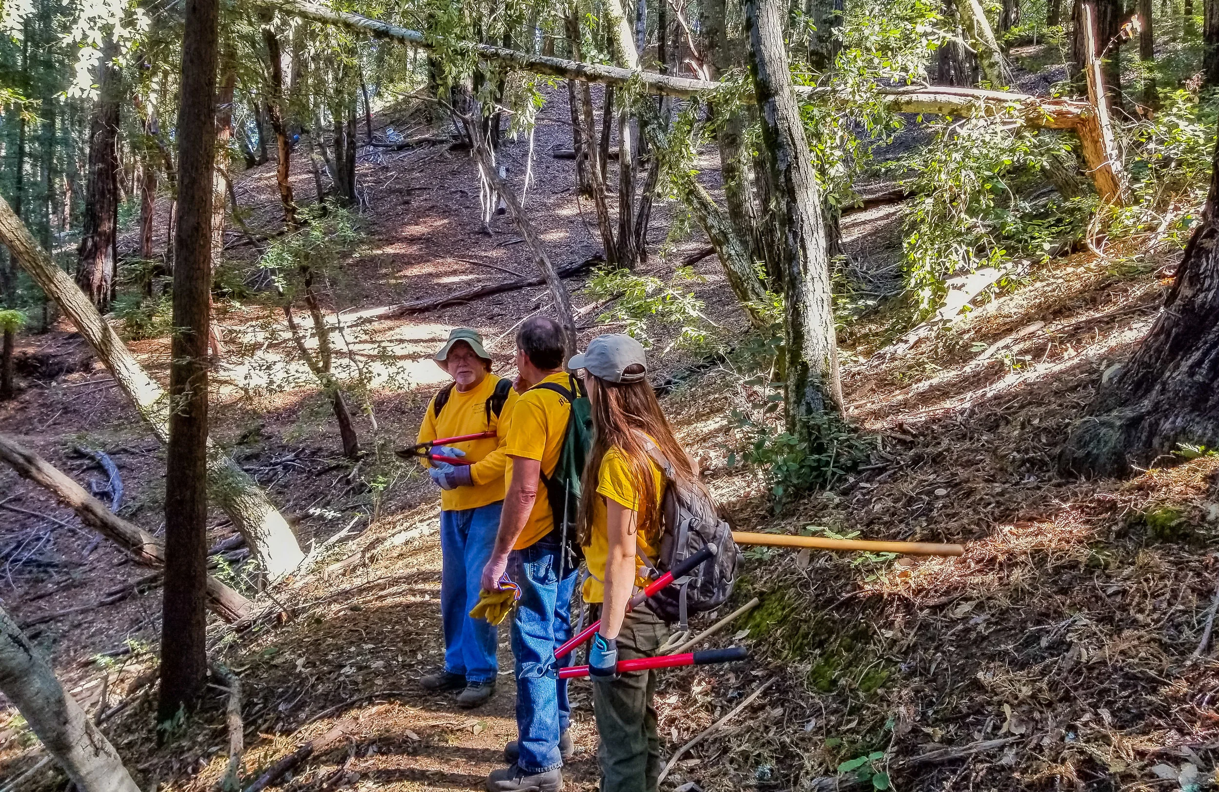 OCT 2017 - Basin Trail