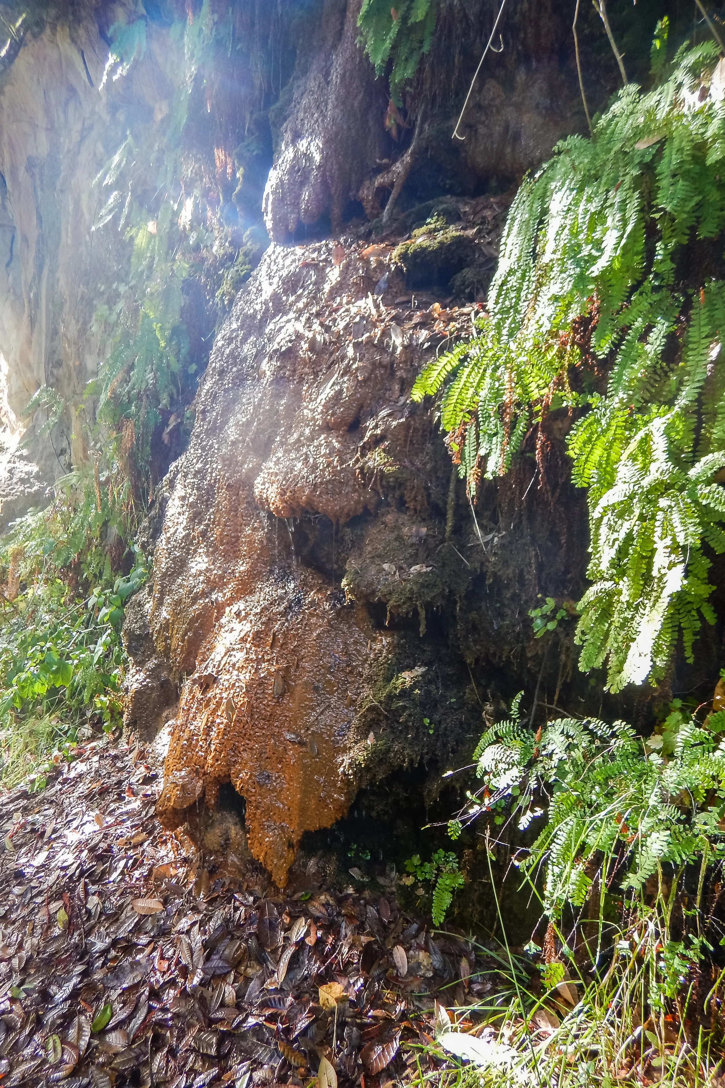 DSCN0725.JPG