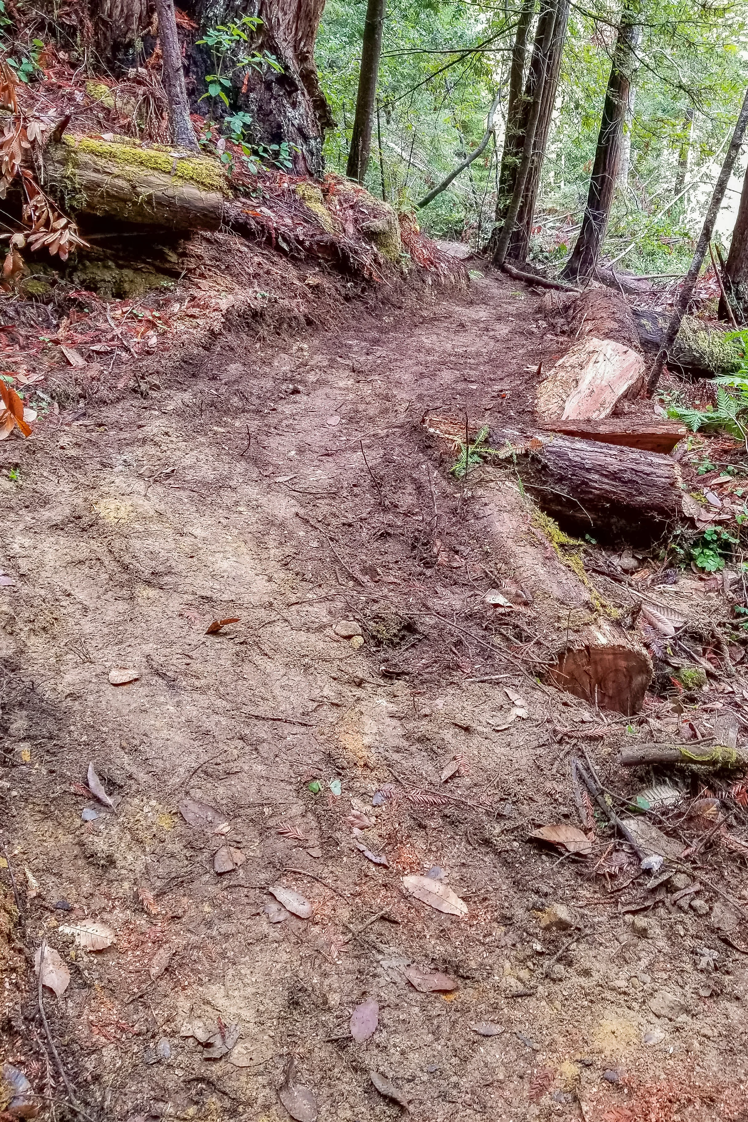 20171111_132731.JPG