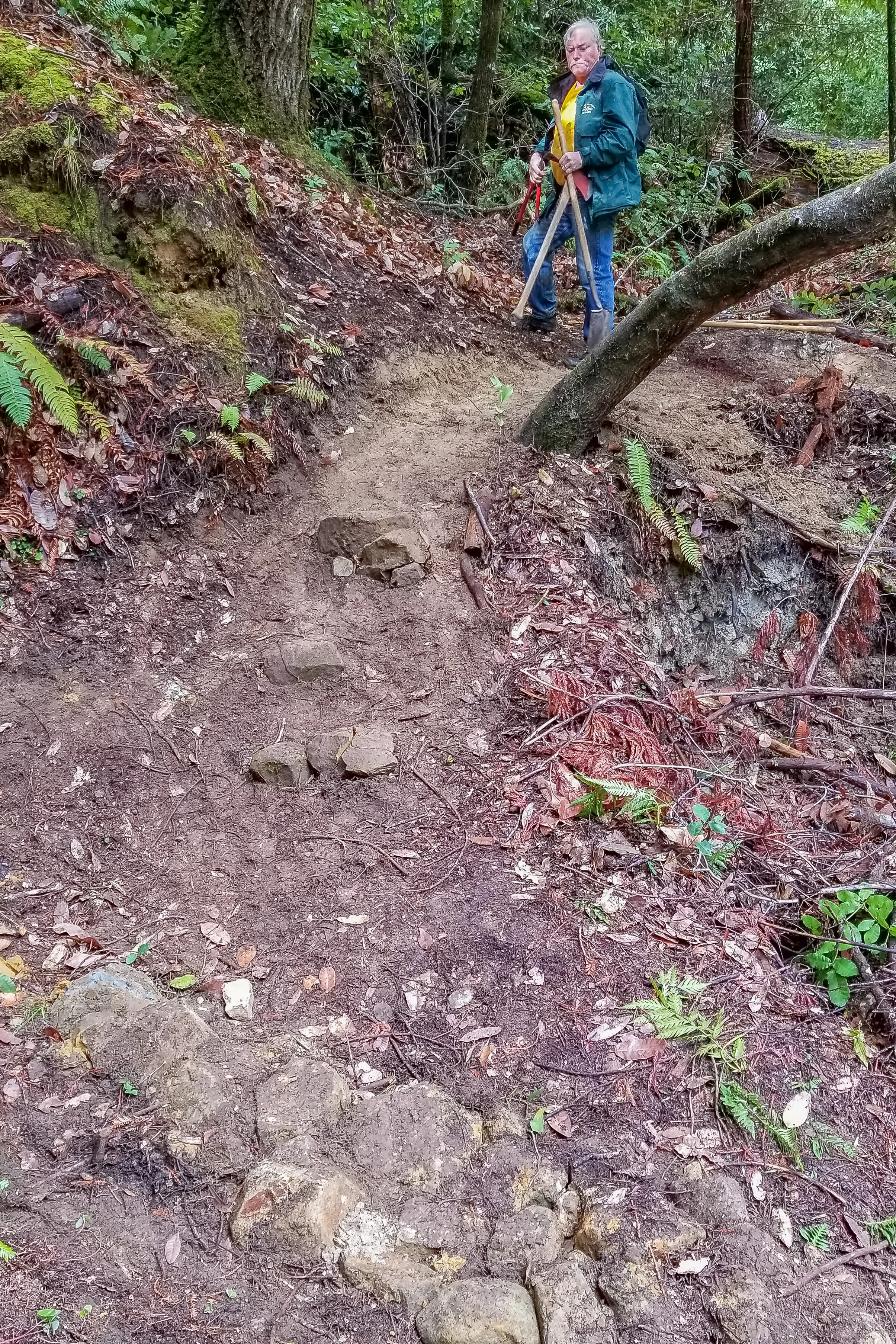 20171111_132809.JPG