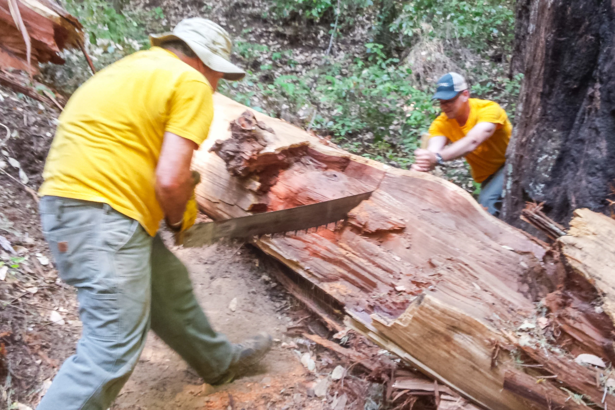 AUG 2018 - No. Escape and Meteor Trail