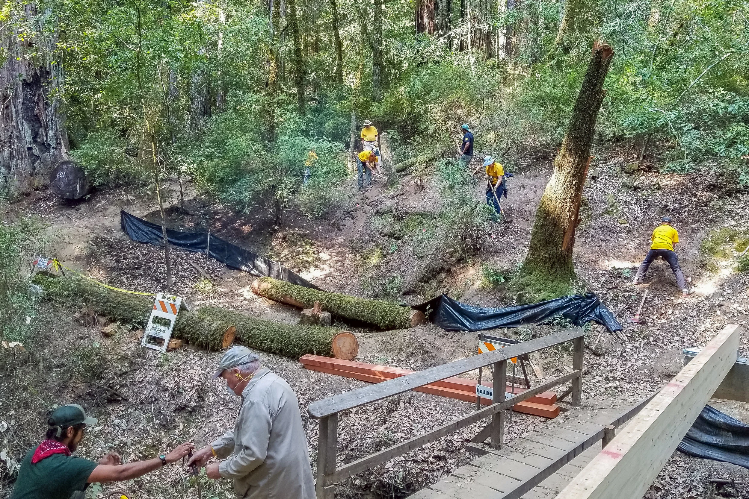 AUG 2018 - Skyline to the Sea Reroute at Dool Trail