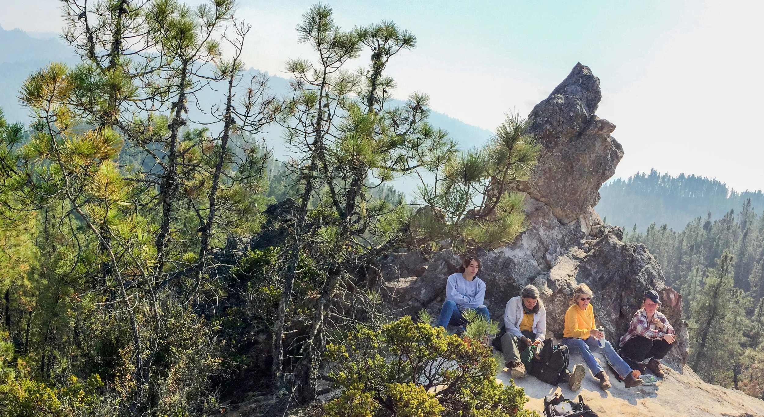 NOV 2018 - Hihn Hammond, Creeping Forest, and Buzzard's Roost