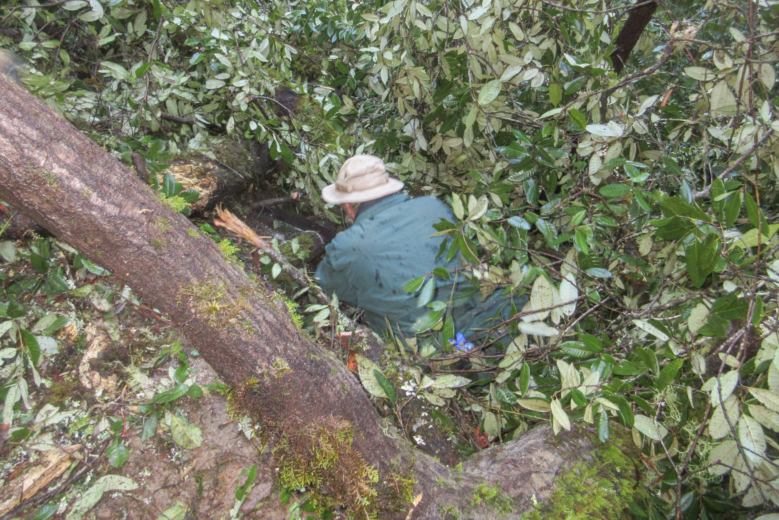 One Cut Required Climbing into a Hole. D1 Took the First Shift.JPG